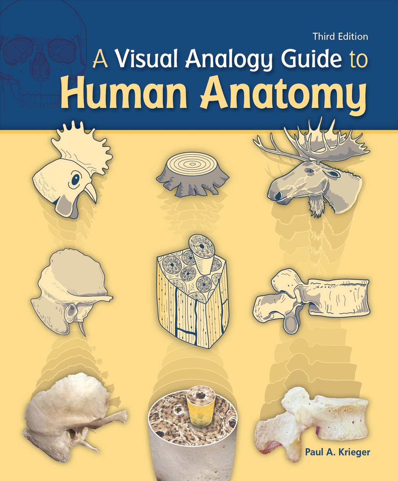 Visual Analogy Guide to Human Anatomy by Paul A Krieger