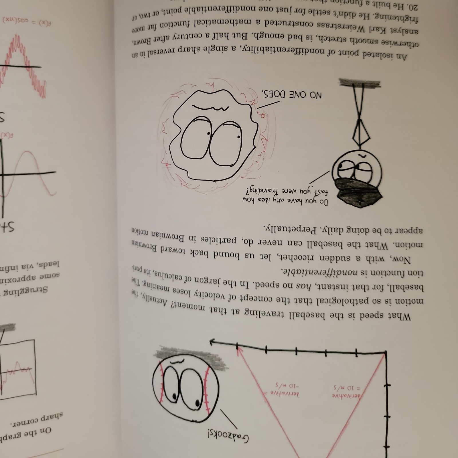 Change Is the Only Constant : The Wisdom of Calculus in a Madcap World by Ben…