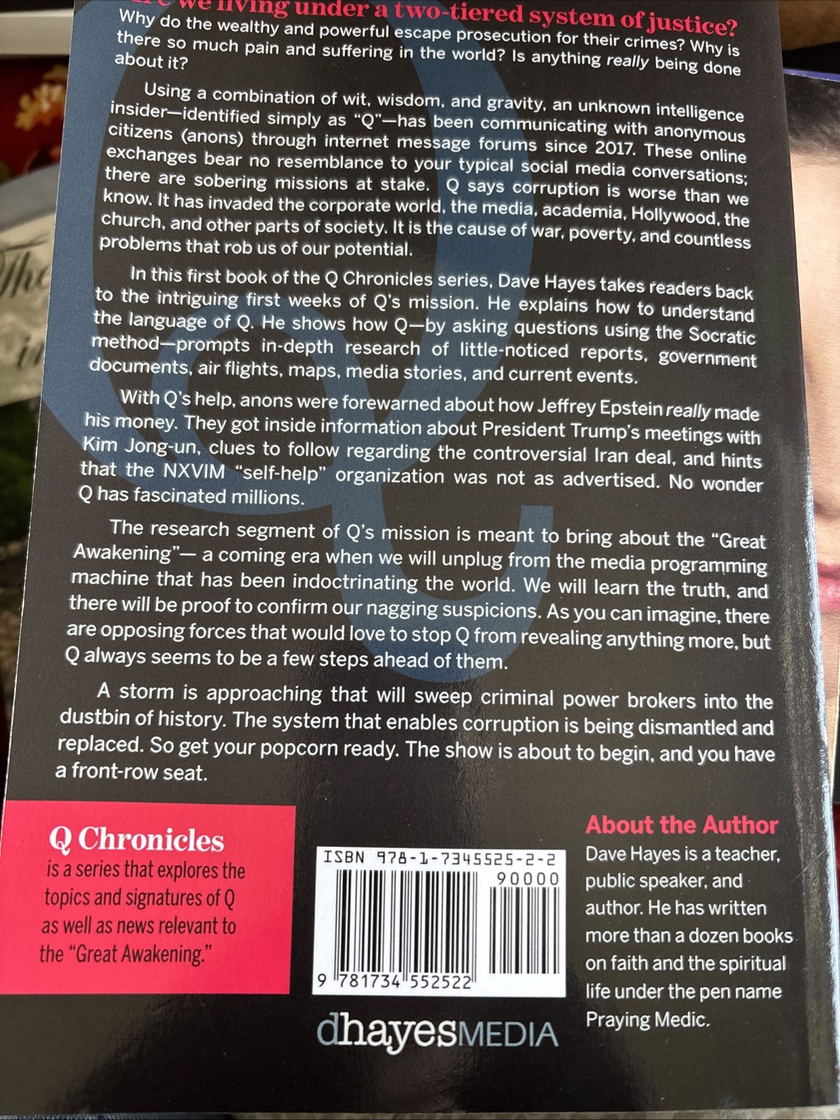The Great Awakening Book 1 Q Chronicles Dave Hayes Paperback NEW