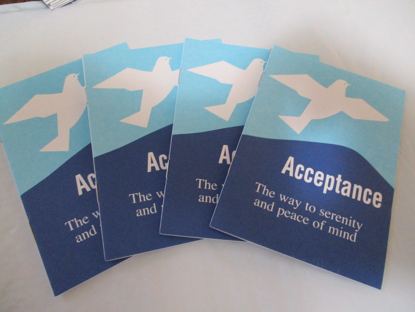 4 ACCEPTANCE THE WAY TO SERENITY SET 4 Booklets New
