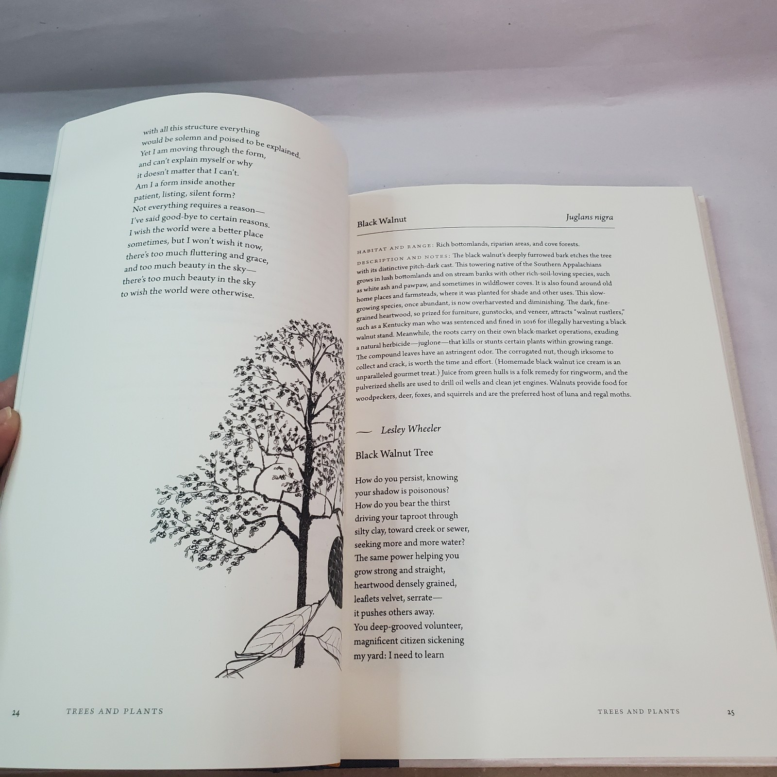 A Literary Field Guide to Southern Appalachia (Wormsloe Foundation Nature) HC