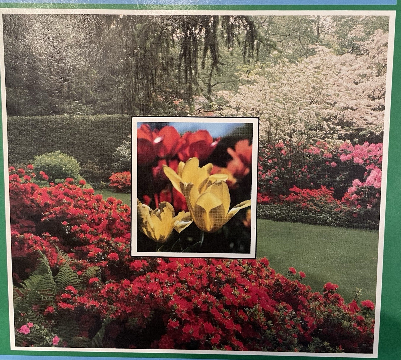 Introductory Horticulture Hardcover Reiley & Shry Textbook Excellent Resource ￼