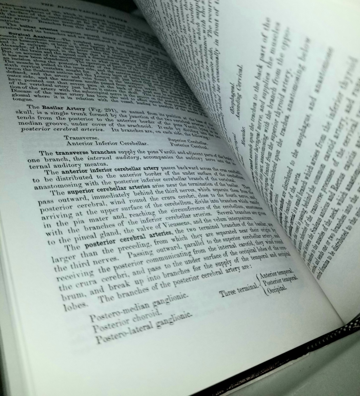 Gray’s Anatomy Unabridged Book By Running Press Edition of the American Classic