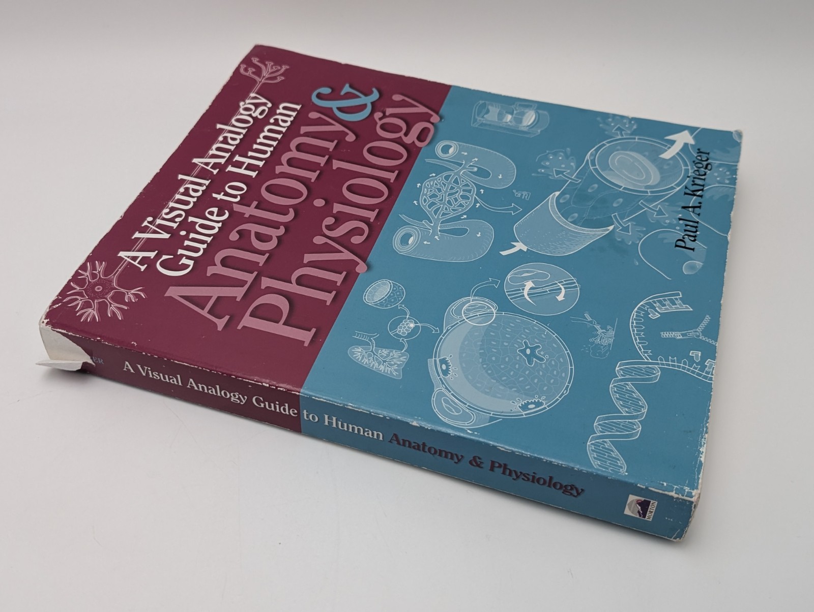 Visual Analogy Guide to Anatomy and Physiology by Paul A. Krieger (2009,…