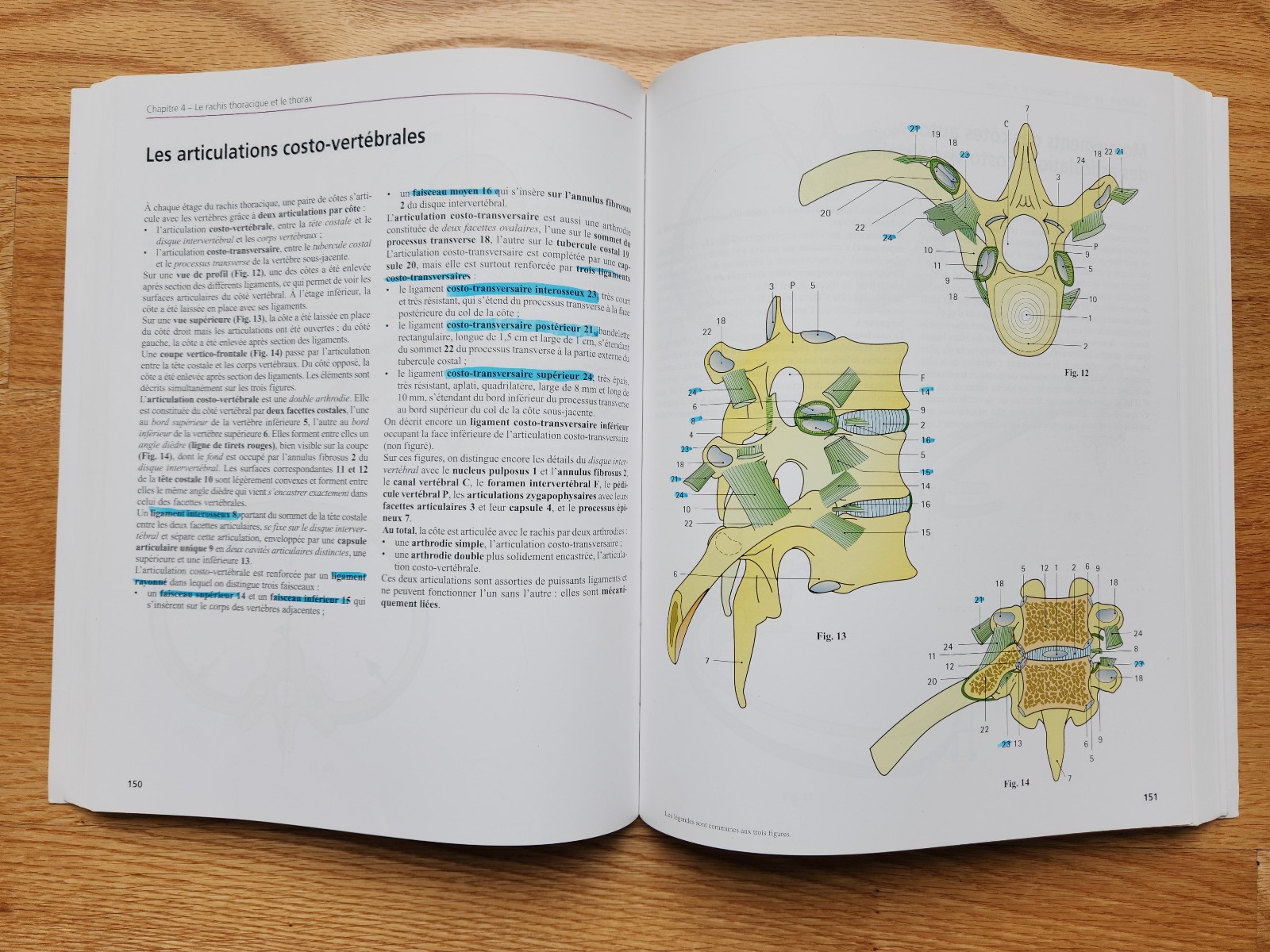 Anatomie Fonctionnelle – A.I. Kapandji – 7th Edition – 3-Volume Set – French