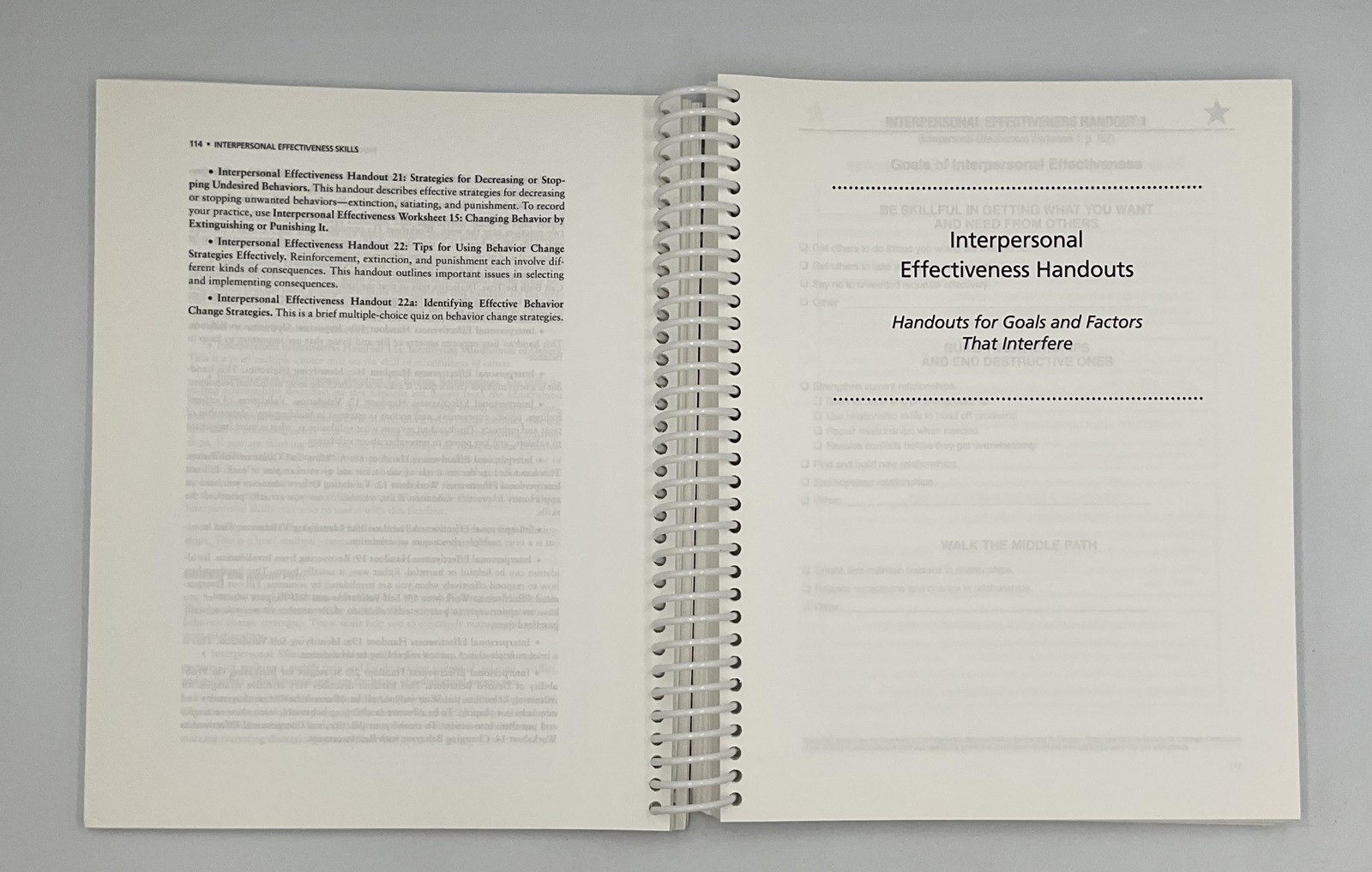 DBT Skills Training Handouts & Worksheets Marsha Linehan Guilford 8.5×11 Teal PB