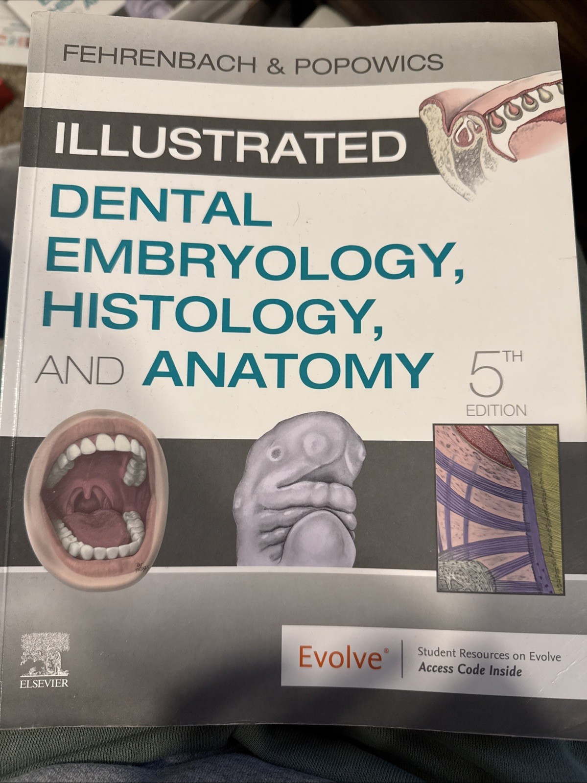 Illustrated Dental Embryology, Histology, and Anatomy by Margaret J. Fehrenbach