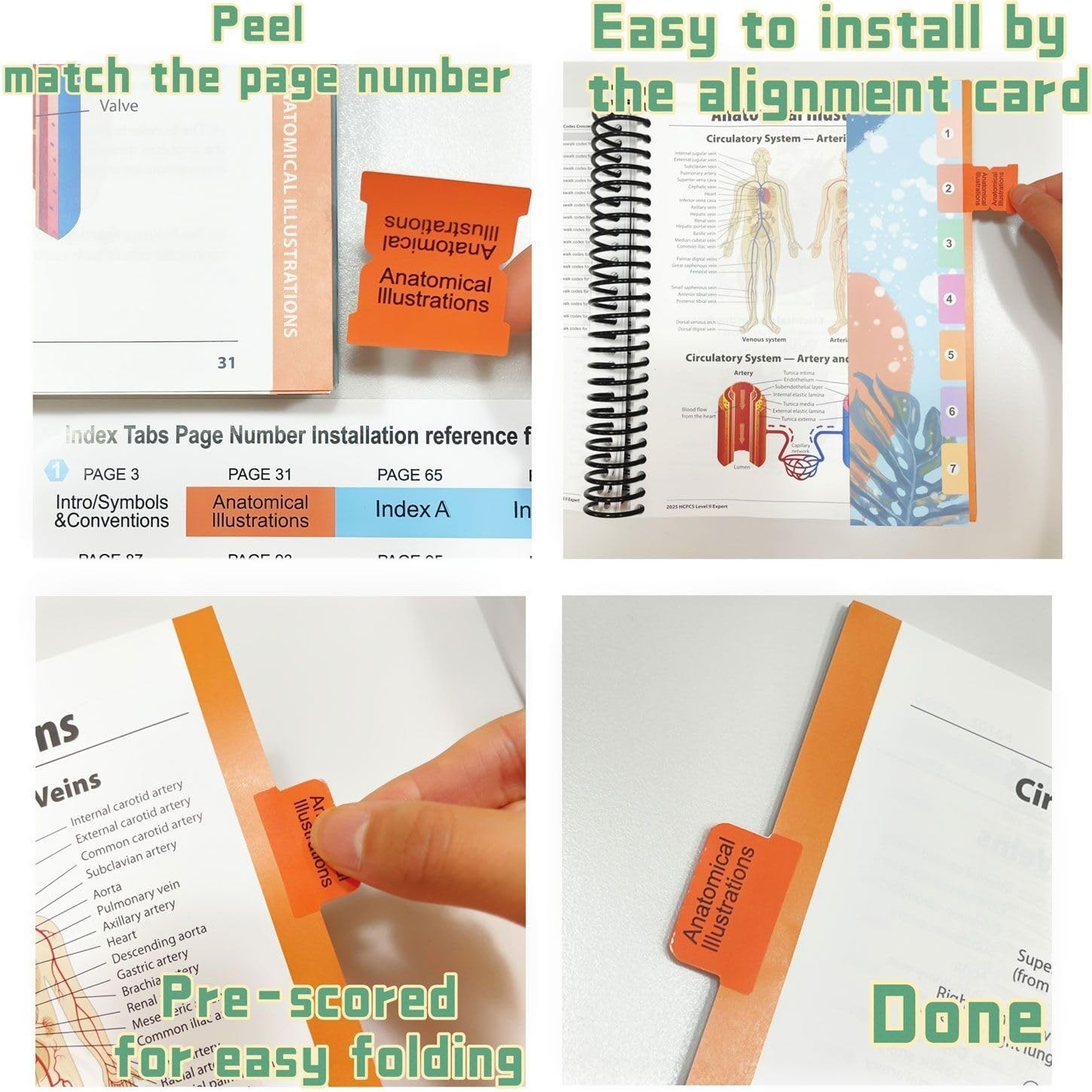 Index Tabs for AMA CPT Book, ICD-10 Code Book, HCPCS Level II Book, 3-Set Bundle