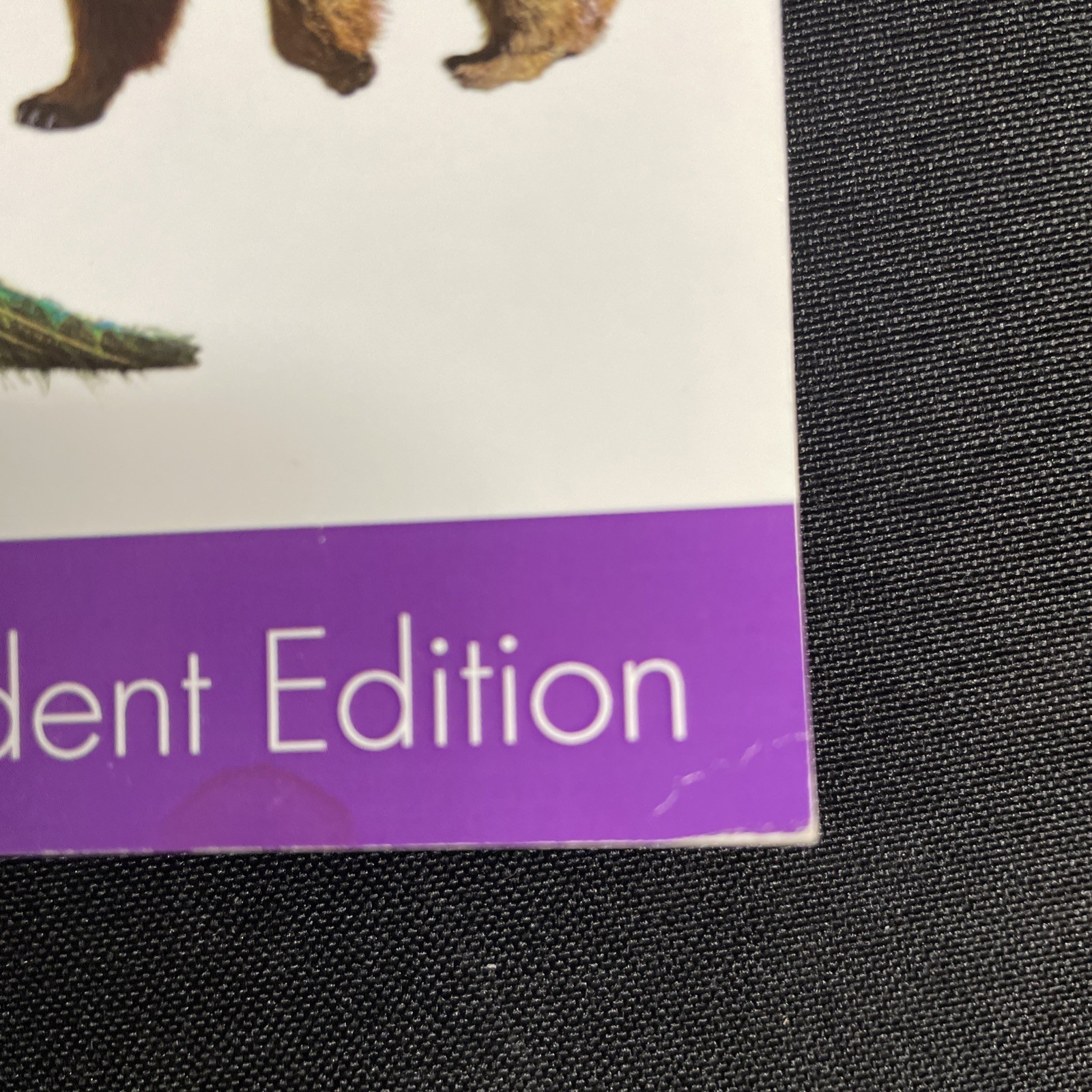 Purposeful Design Spelling Plus Grade 1 Student Edition – Workbook Third Edition
