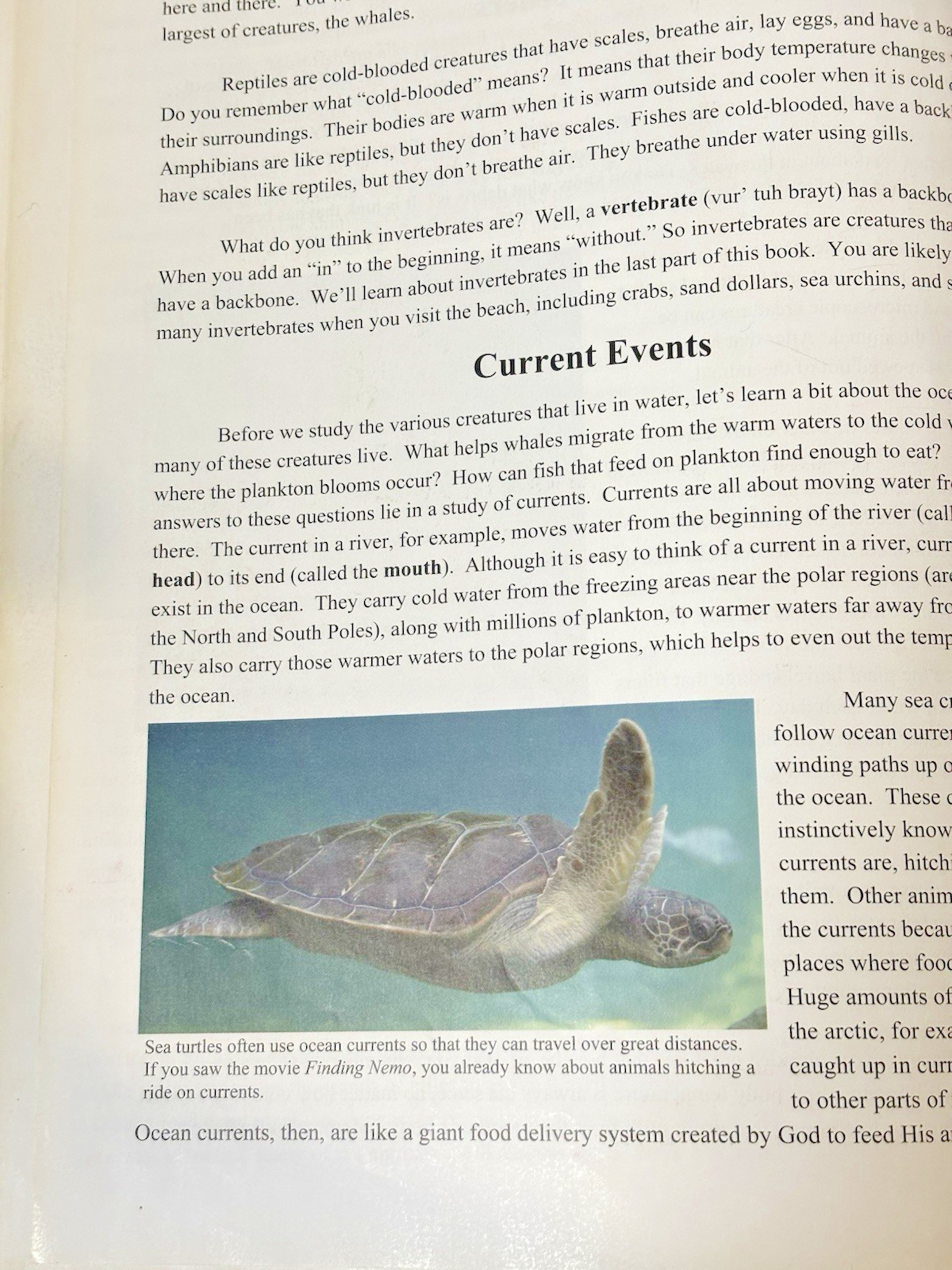 Exploring Creation With Zoology Vol 1 Young Explorers Series Fulbright Apologia