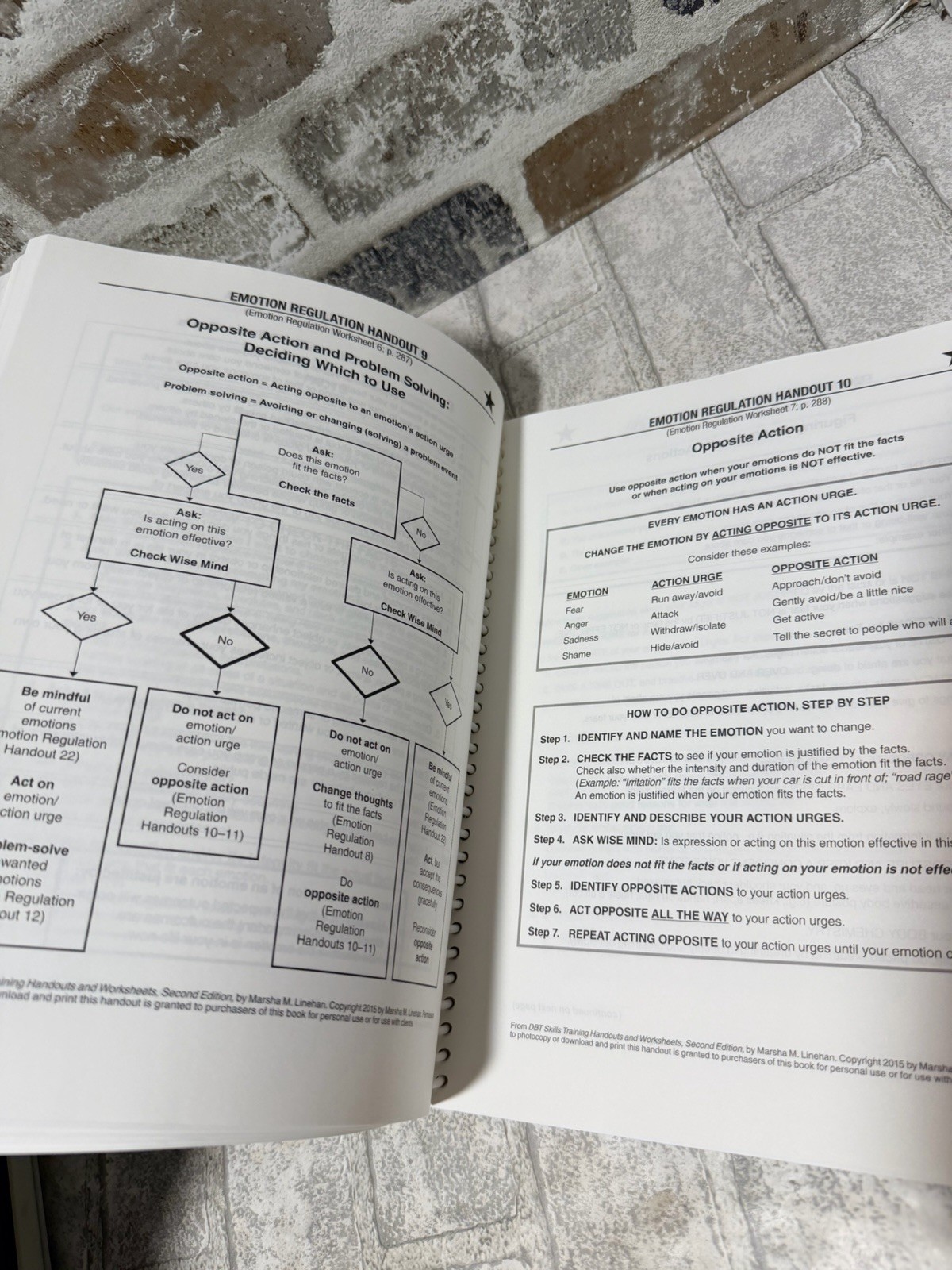 DBT Skills Training Handouts and Worksheets, Second Edition – GOOD