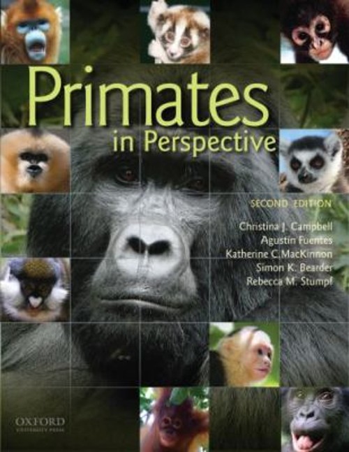 Primates in Perspective Paperback