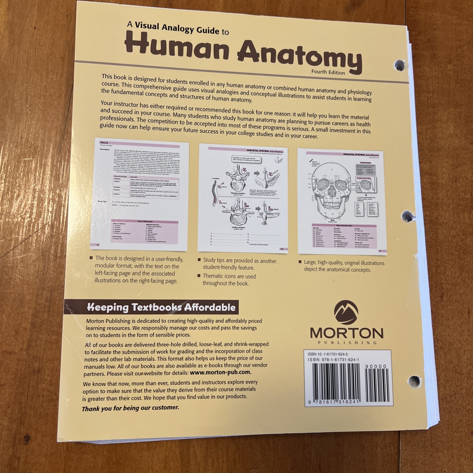 Visual Analogy Guide to Human Anatomy, 4e by Paul A. Krieger (2017, Ringbound)