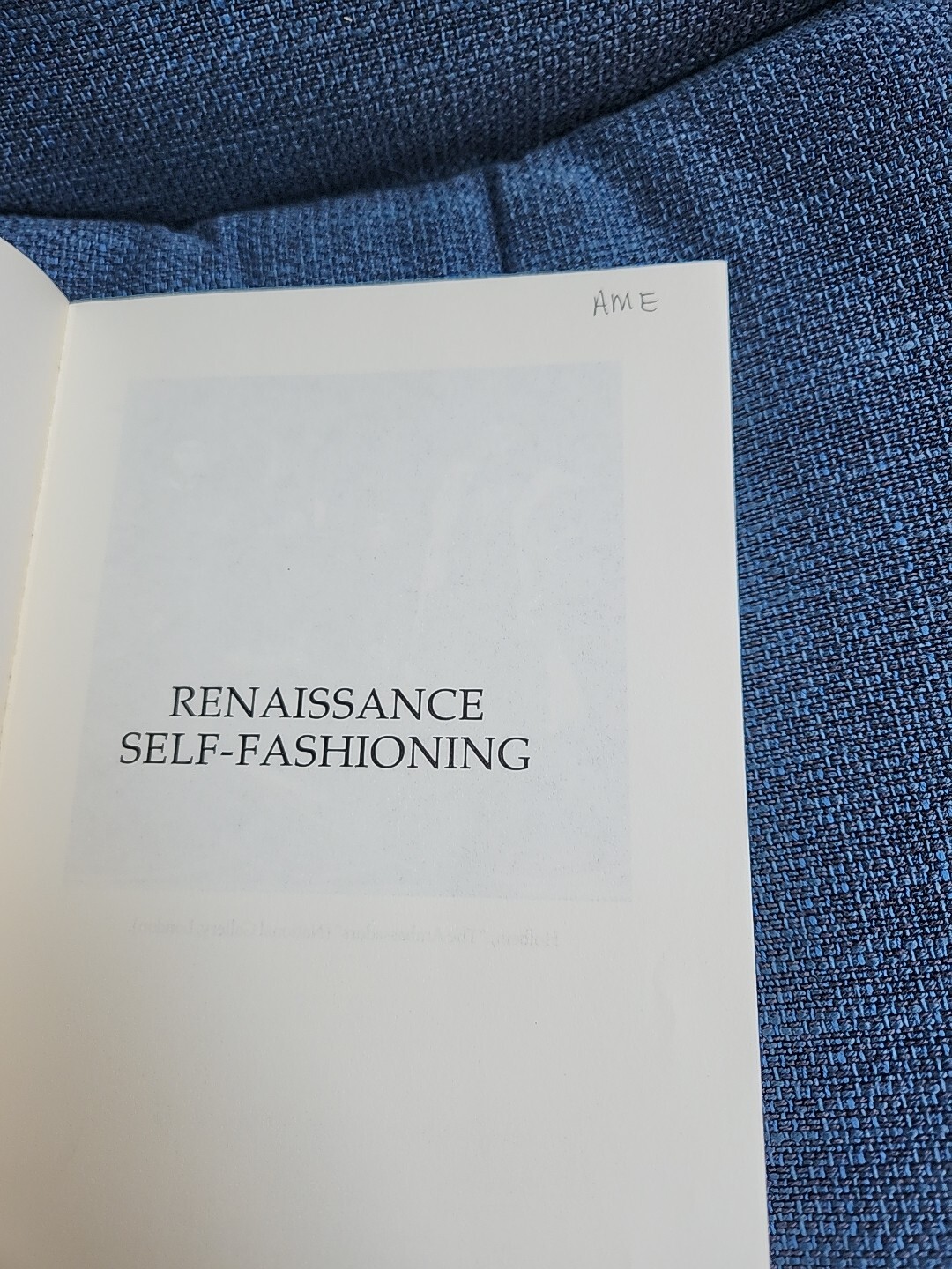 Renaissance Self-Fashioning: From More to Shakespeare-Stephen Greenblatt GOOD