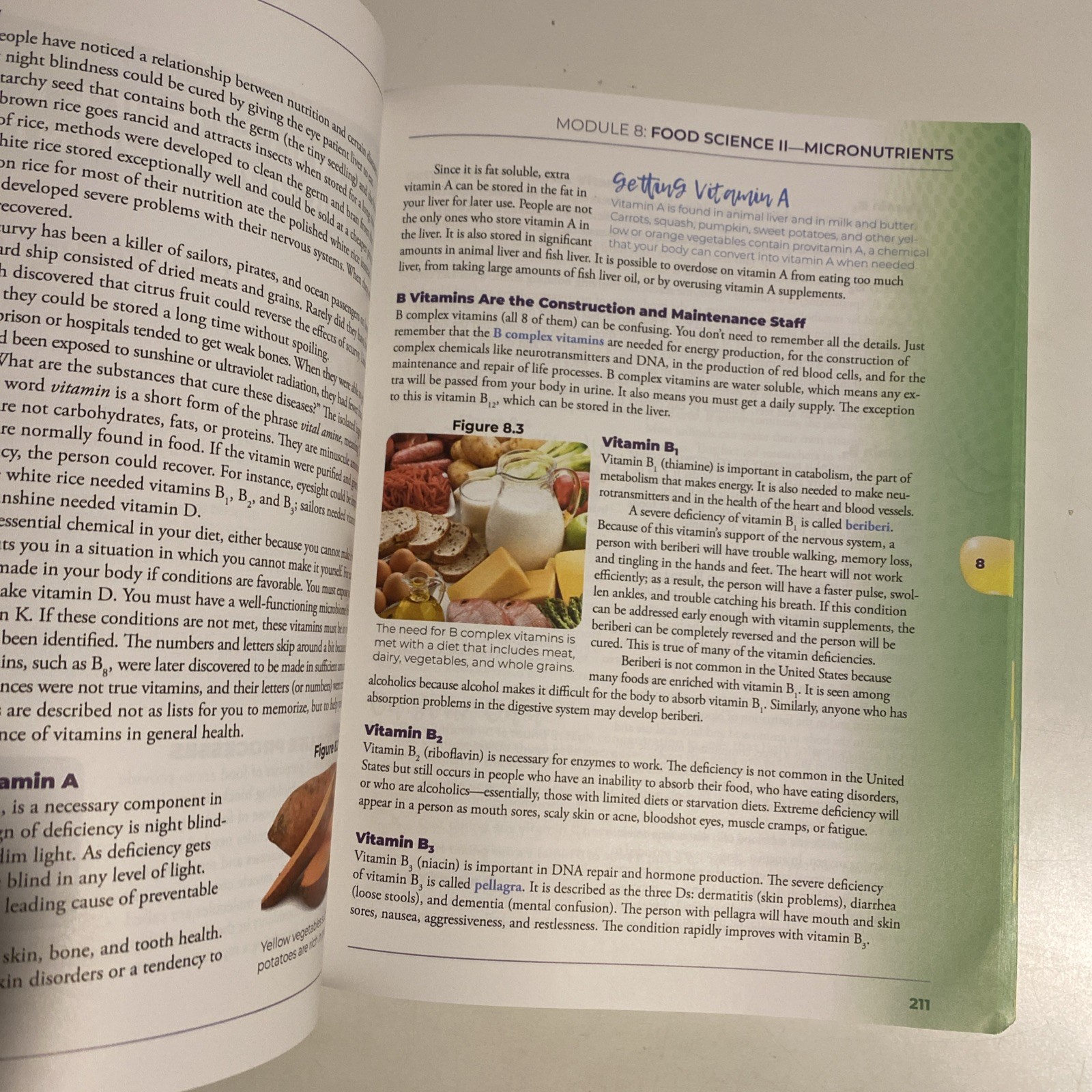 Apologia Exploring Creation with Health and Nutrition 2nd Edition,