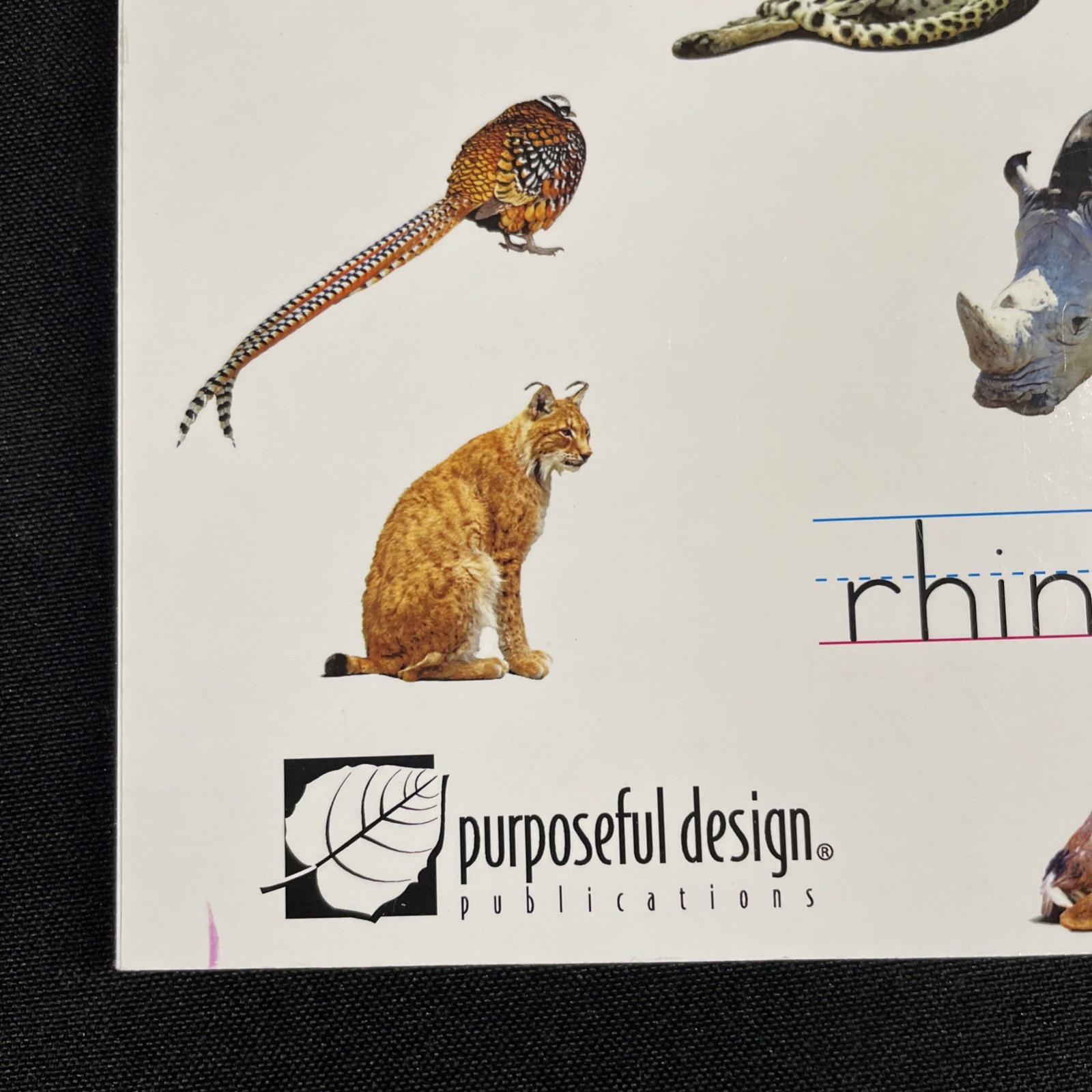 Purposeful Design Spelling Plus Grade 1 Student Edition – Workbook Third Edition