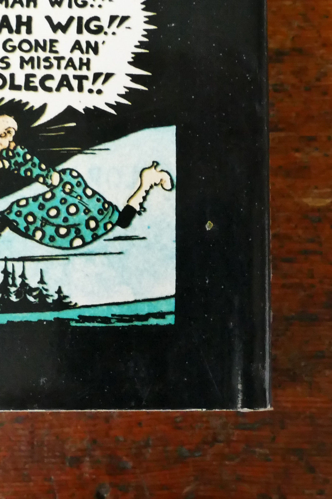 The Smithsonian Collection of Newspaper Comics Trade Paperback 1977 Vintage