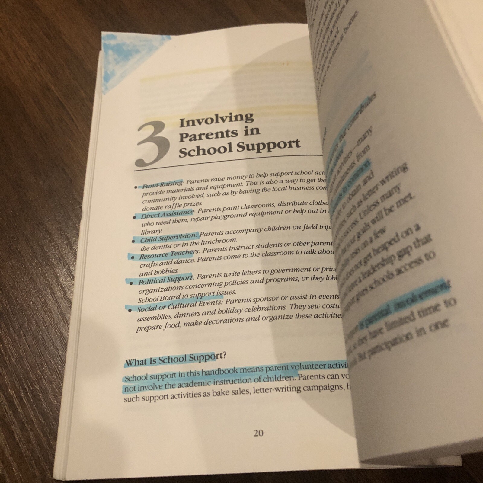 INVOLVING PARENTS: A HANDBOOK FOR PARTICIPATION IN SCHOOLS By Peggy Lyons VG