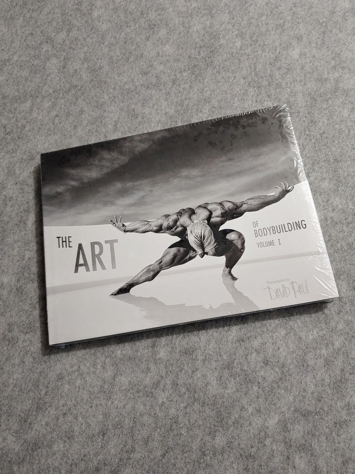 The Art of Bodybuilding Vol 1 David Paul Book New Sealed Rare Barbarian Brothers