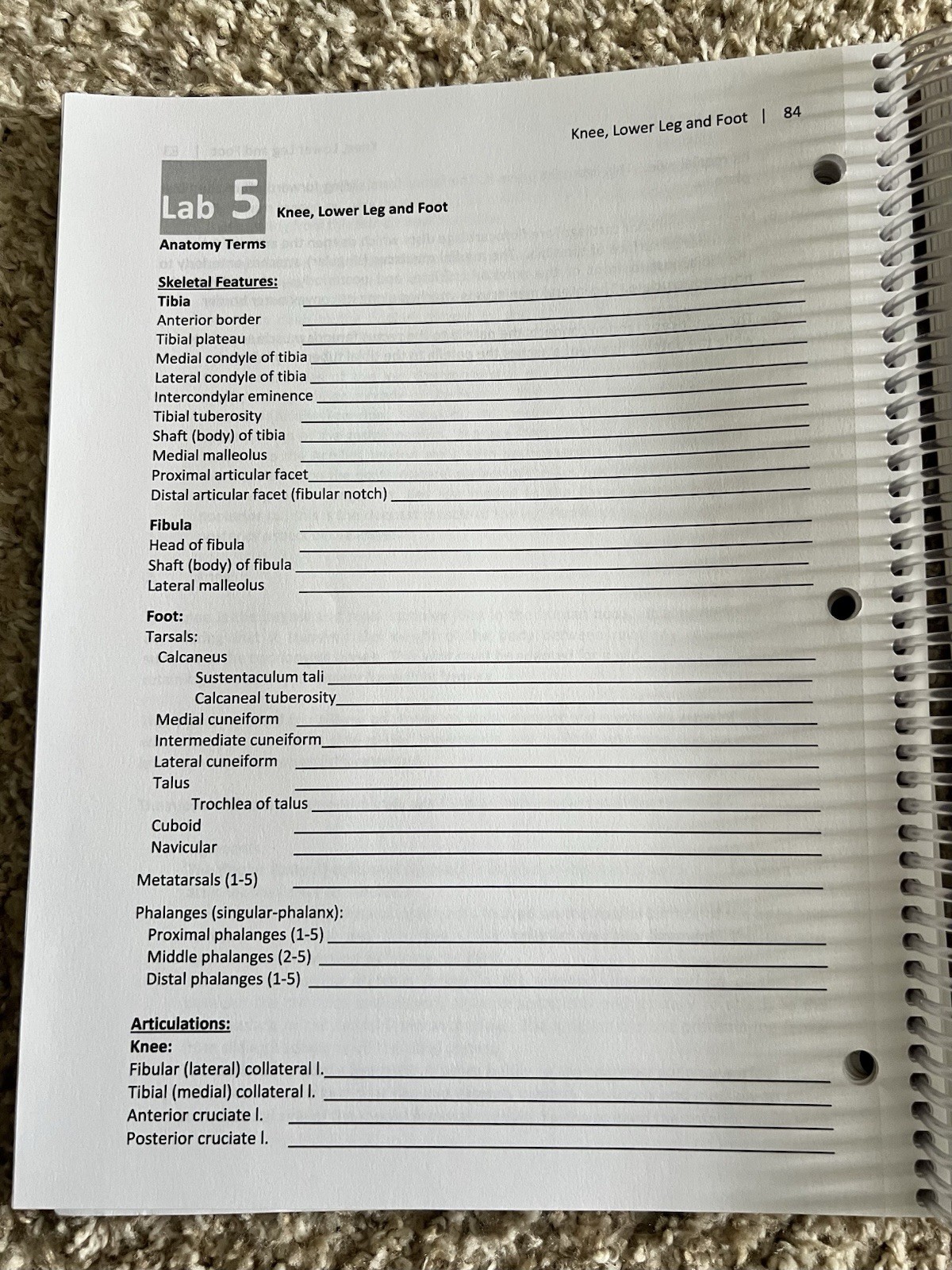 Human Anatomy and Physiology Laboratory Manual for Bio 231,231,323