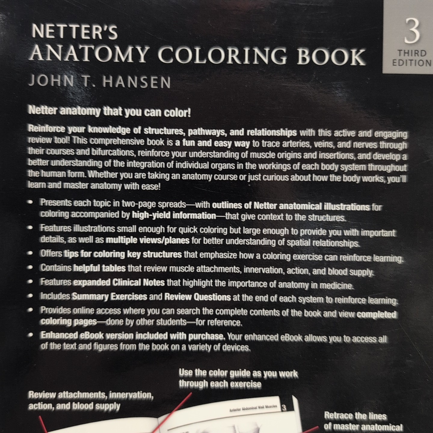 Netters Anatomy Coloring Book (Netter Basic Science) – Paperback – VERY GOOD