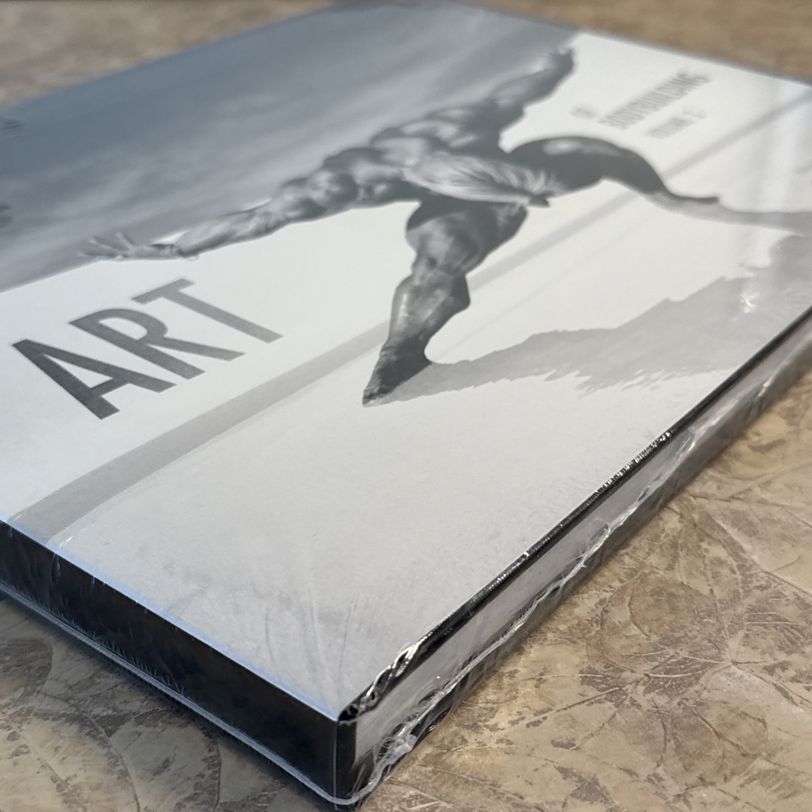 The Art of Bodybuilding Vol 1 David Paul Book New Sealed Rare Barbarian Brothers