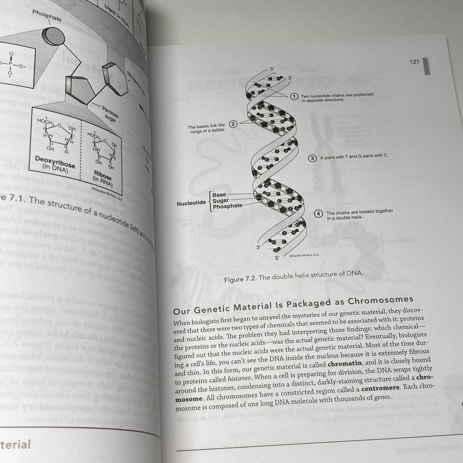UNCG BIO 111L Lab Manual: Principles of Biology I – Hayden-McNeil (2019-2020)