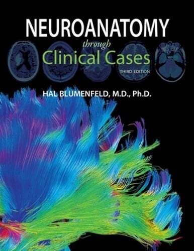 Neuroanatomy Through Clinical Cases by Hal Blumenfeld: Used