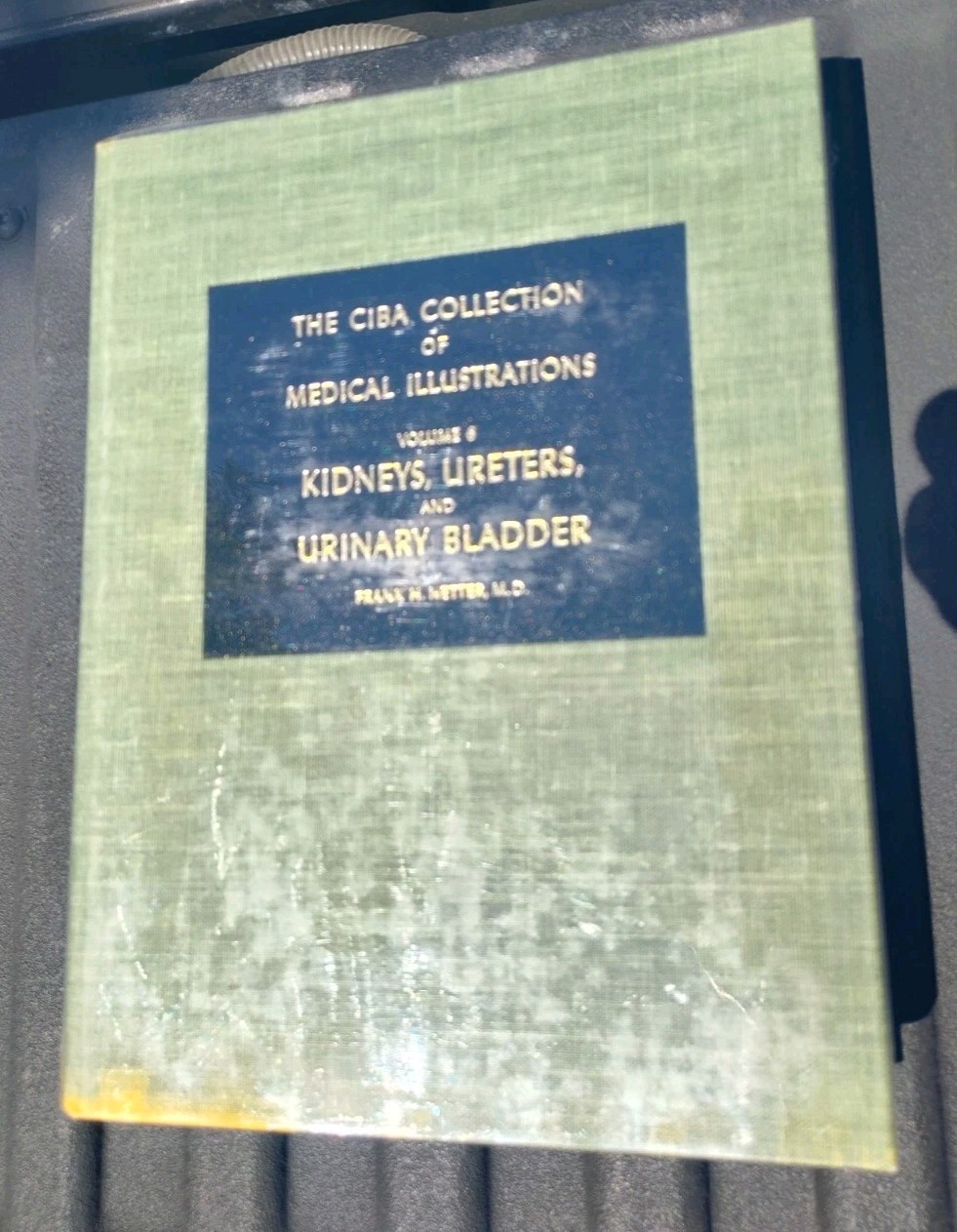 The Ciba Collection of Medical Illustrations 10 Volumes F Netter- Classic Set HB