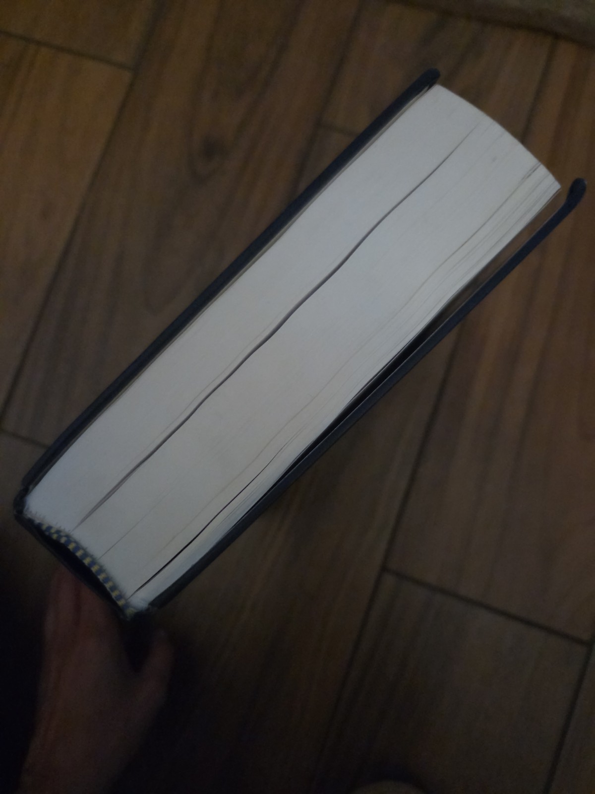 Law and Business of the Entertainment Industries 5th Edition Hardcover