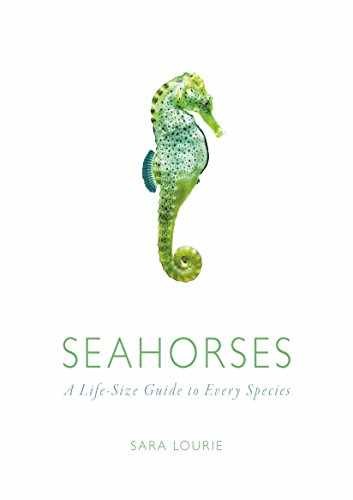 Seahorses: A Life-size Guide to Every Species – Hardcover – Very Good
