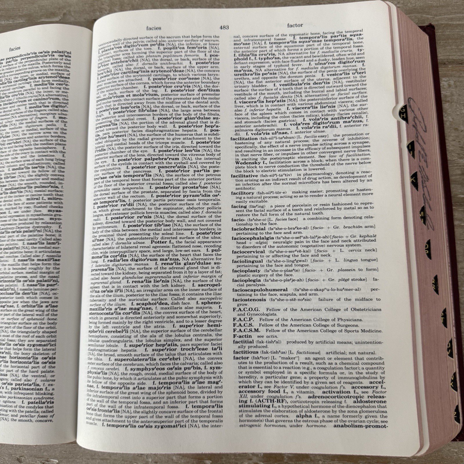 Dorland’s Illustrated Medical Dictionary 26th Edition Leatherette Binding 1981