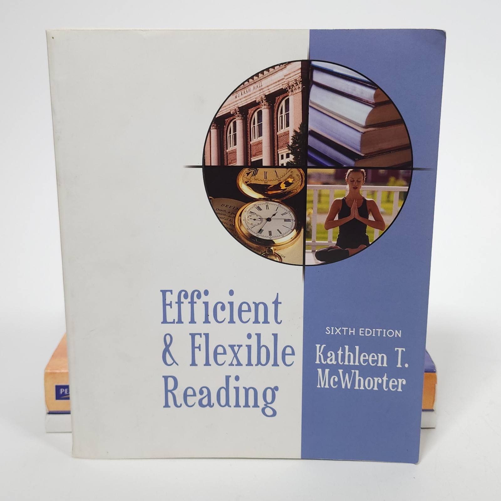 College Efficient Flexible Reading Study Skills Textbook Lot Lipsky Freshman Lot