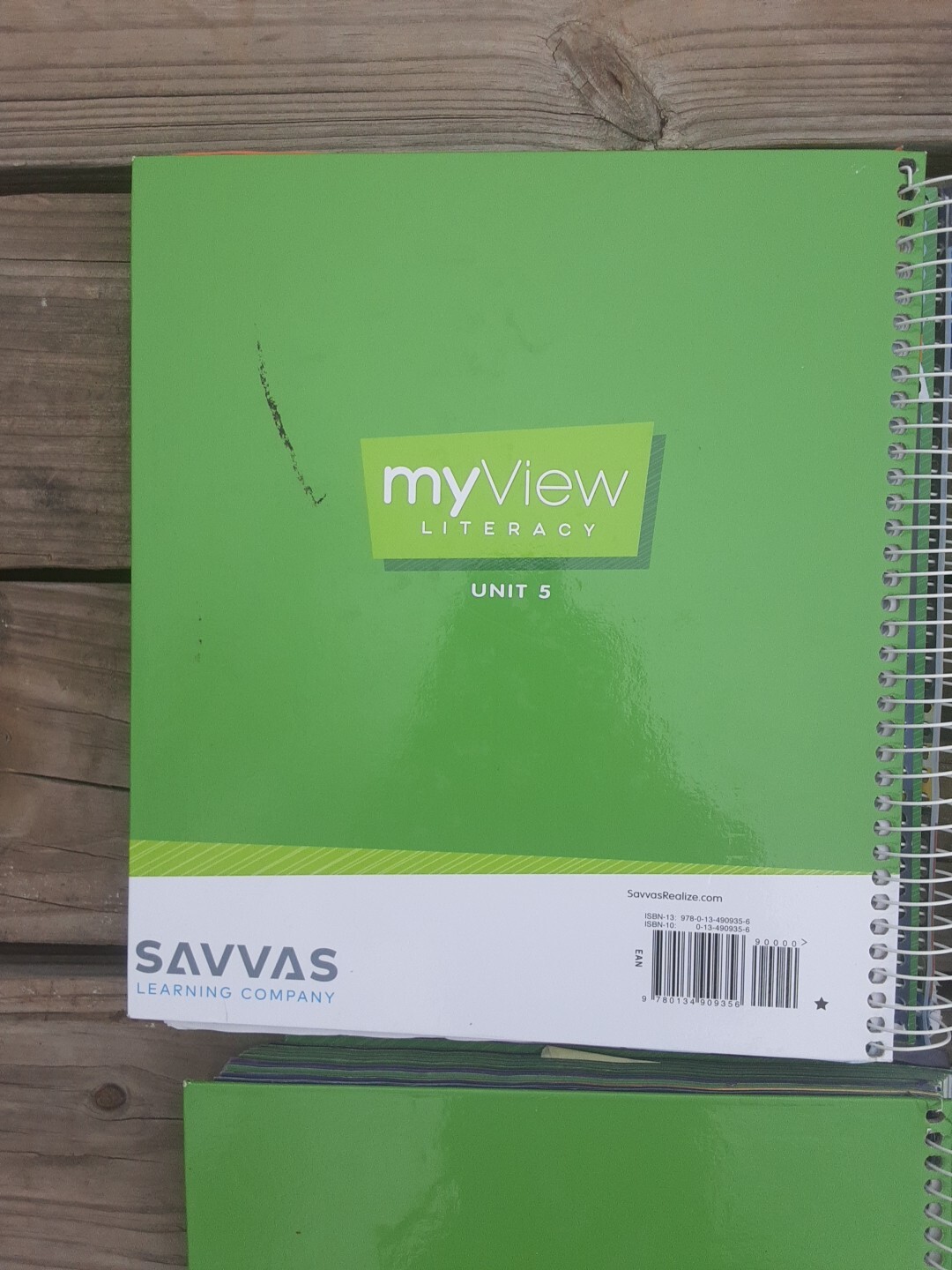 SAVVAS My View Literacy Gr K-Set of 5 Teacher’s Ed K.1,K.2,K.3, K.4, K.5 & more.