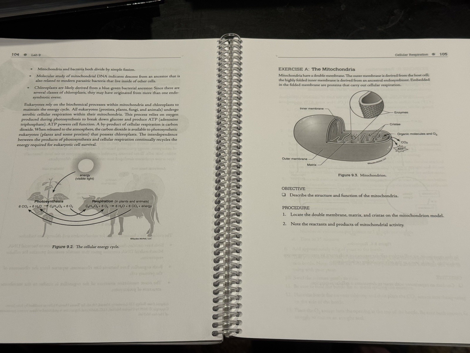 Biology 103 Principles of Biology I Lab Manual 11th Ed Hayden-McNeil 2023