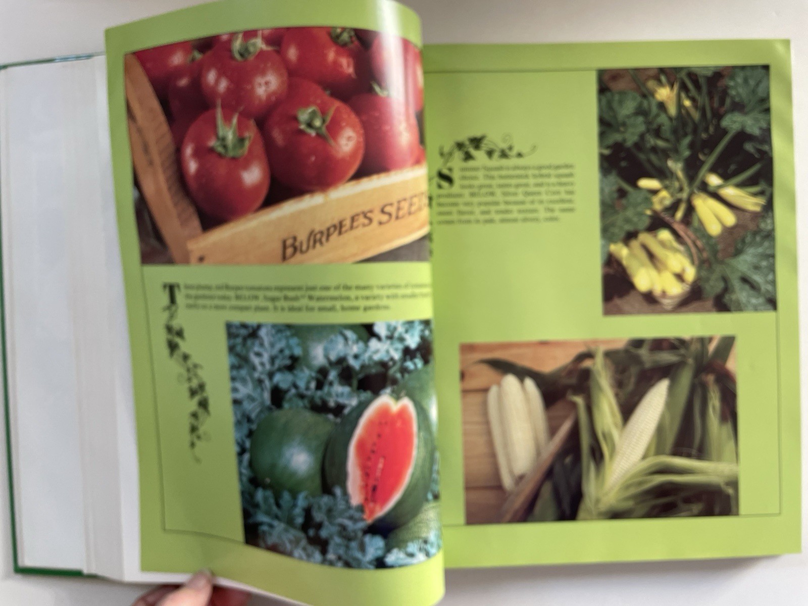 Introductory Horticulture Hardcover Reiley & Shry Textbook Excellent Resource ￼