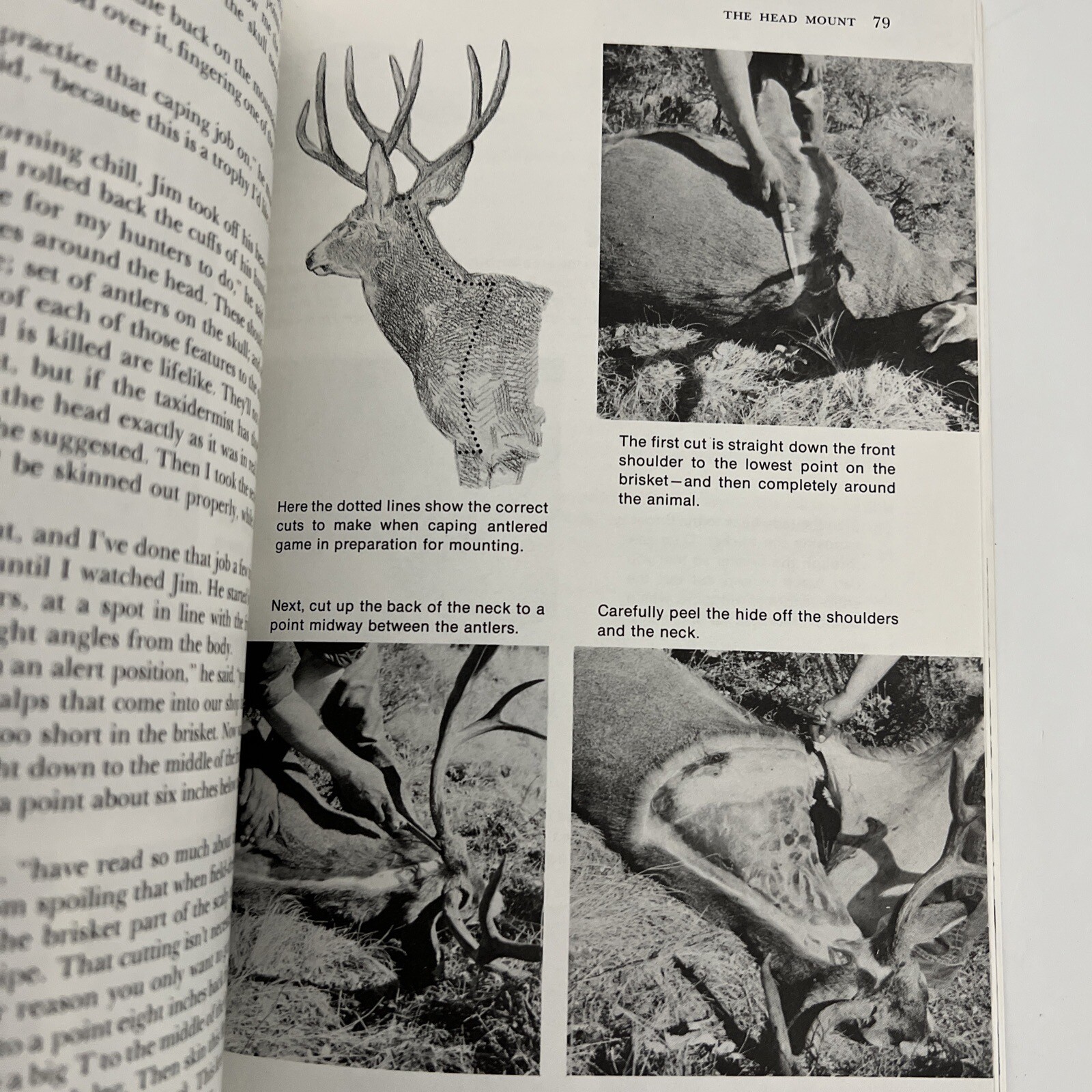 Deer Hunting 3 Pack: Peterson, Tinsley, Elliot