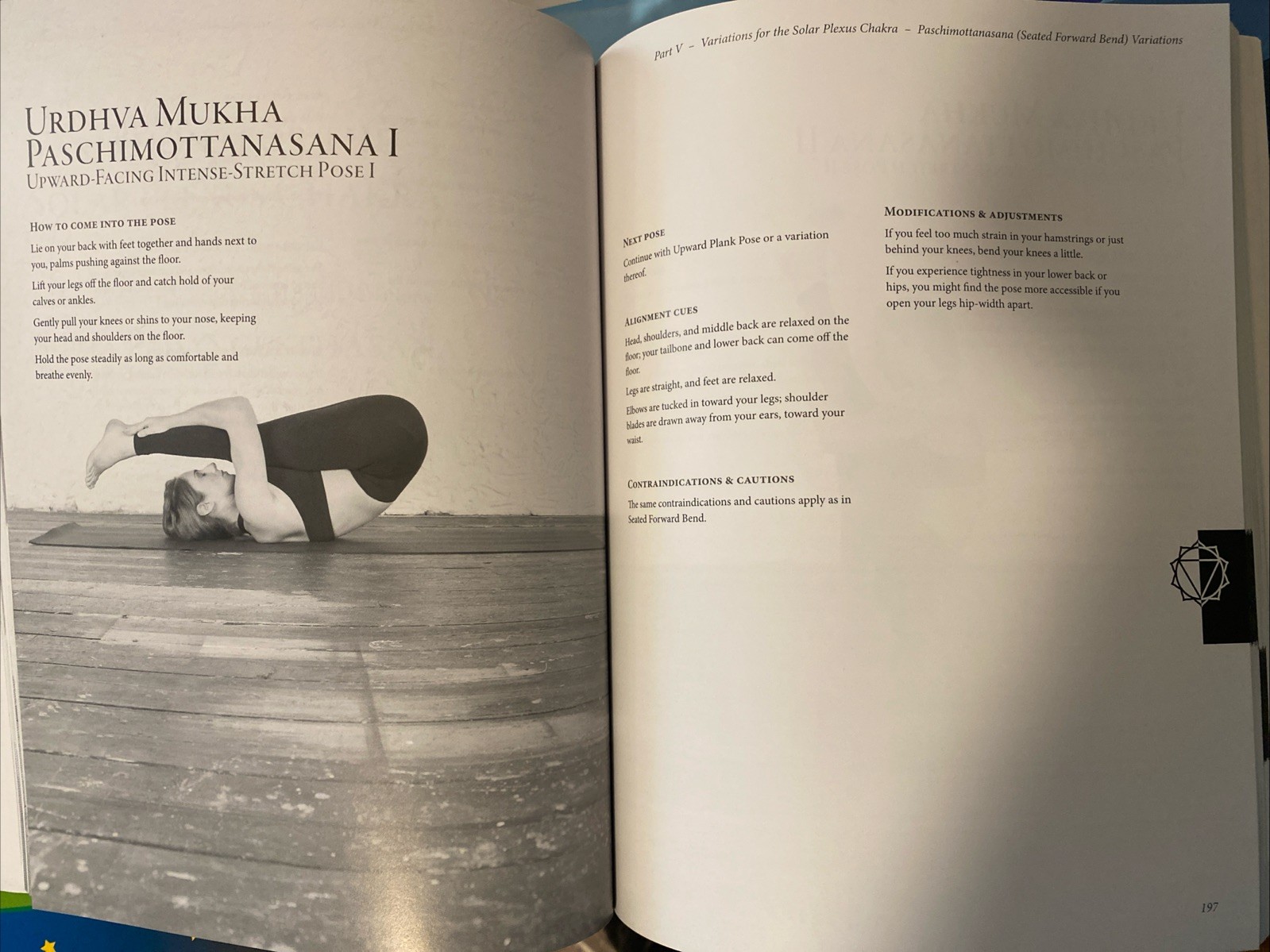 Hatha Yoga: A Comprehensive Guide Ram Jain & Michelle Hauswirth B/W Photos Instr