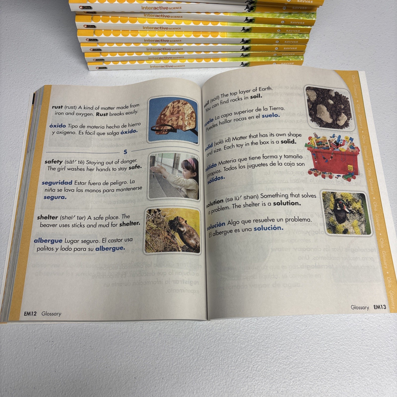 Interactive Science, Grade 1 by Pearson Education Staff LOT TOTAL 25 BOOKS