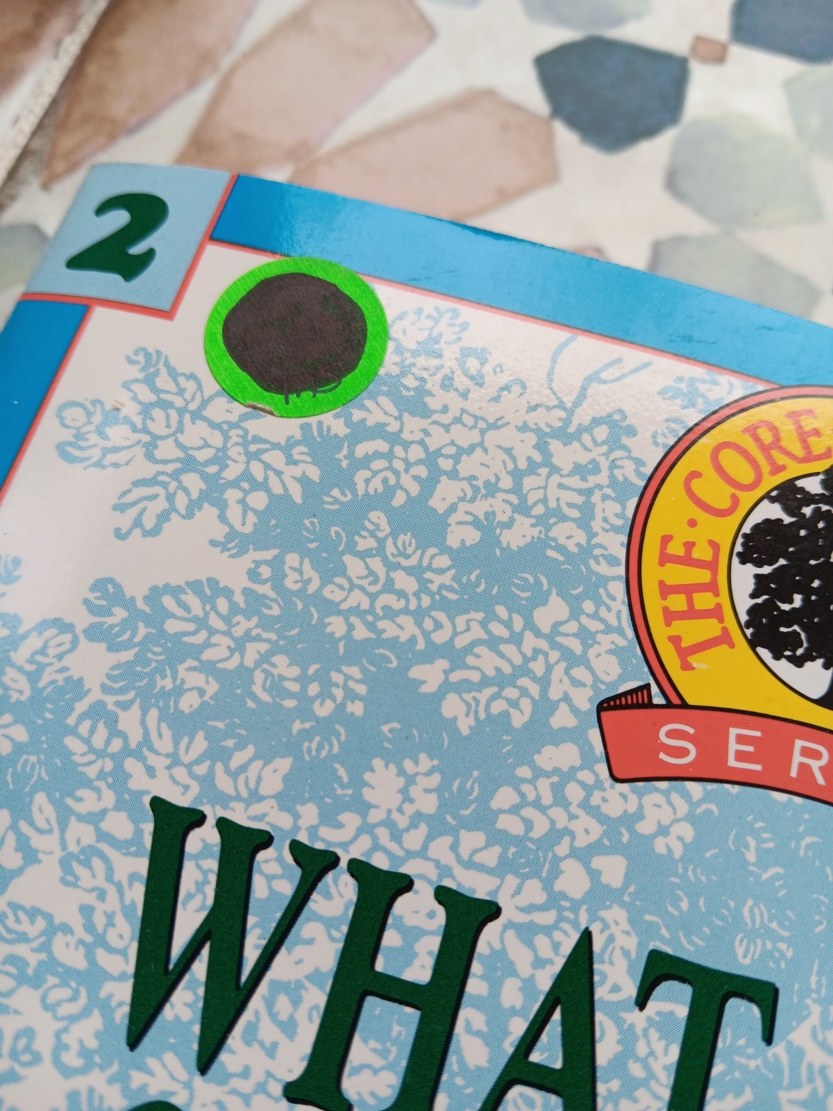 Core Knowledge Series What Your Preschool 1st 2nd 3rd Grader Needs To Know