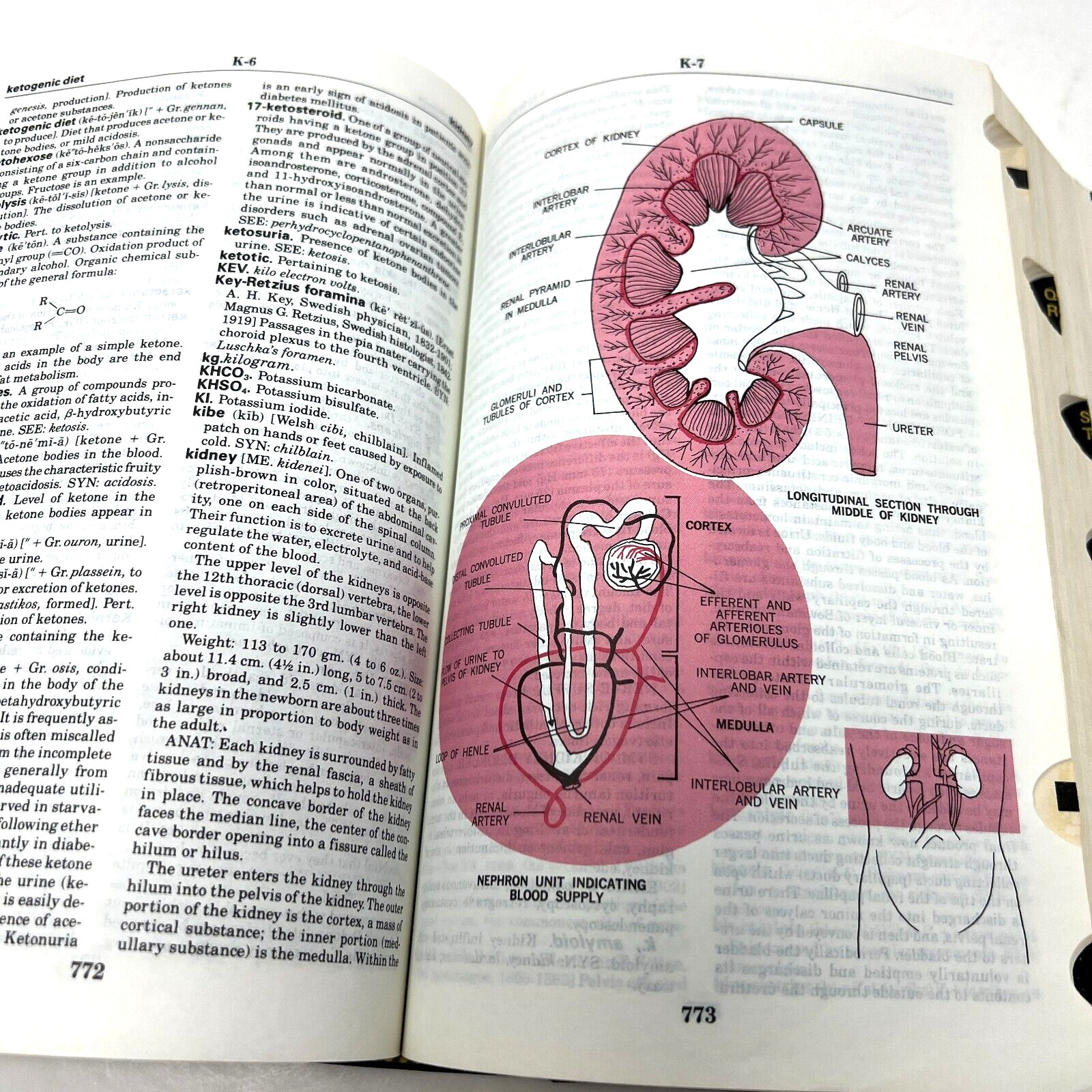 Taber’s Cyclopedic Medical Dictionary – Edition 14 Hardcover 1981 Illustrated