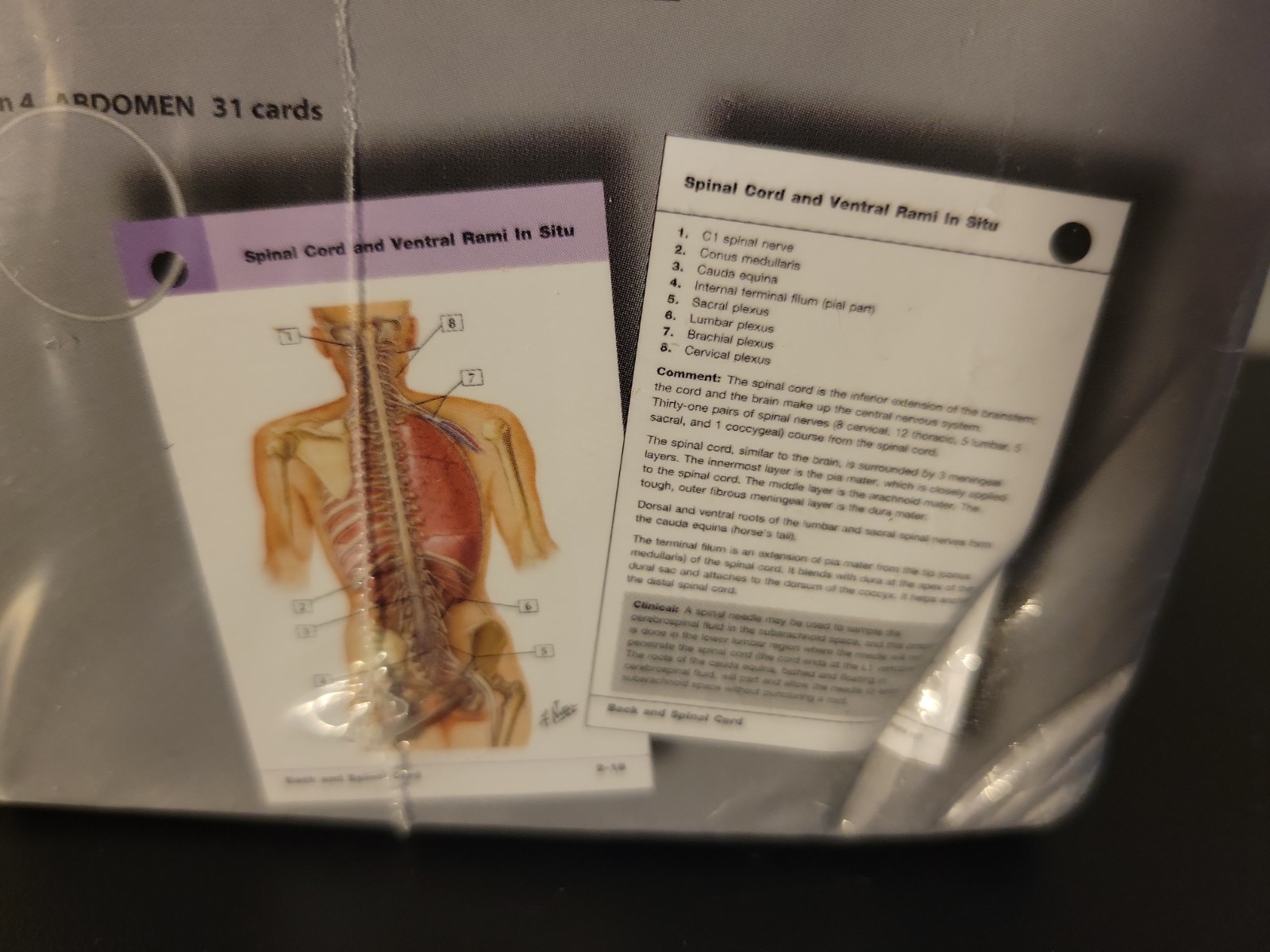 Netter Basic Science Ser.: Netter’s Anatomy Flash Cards : With Online Student…