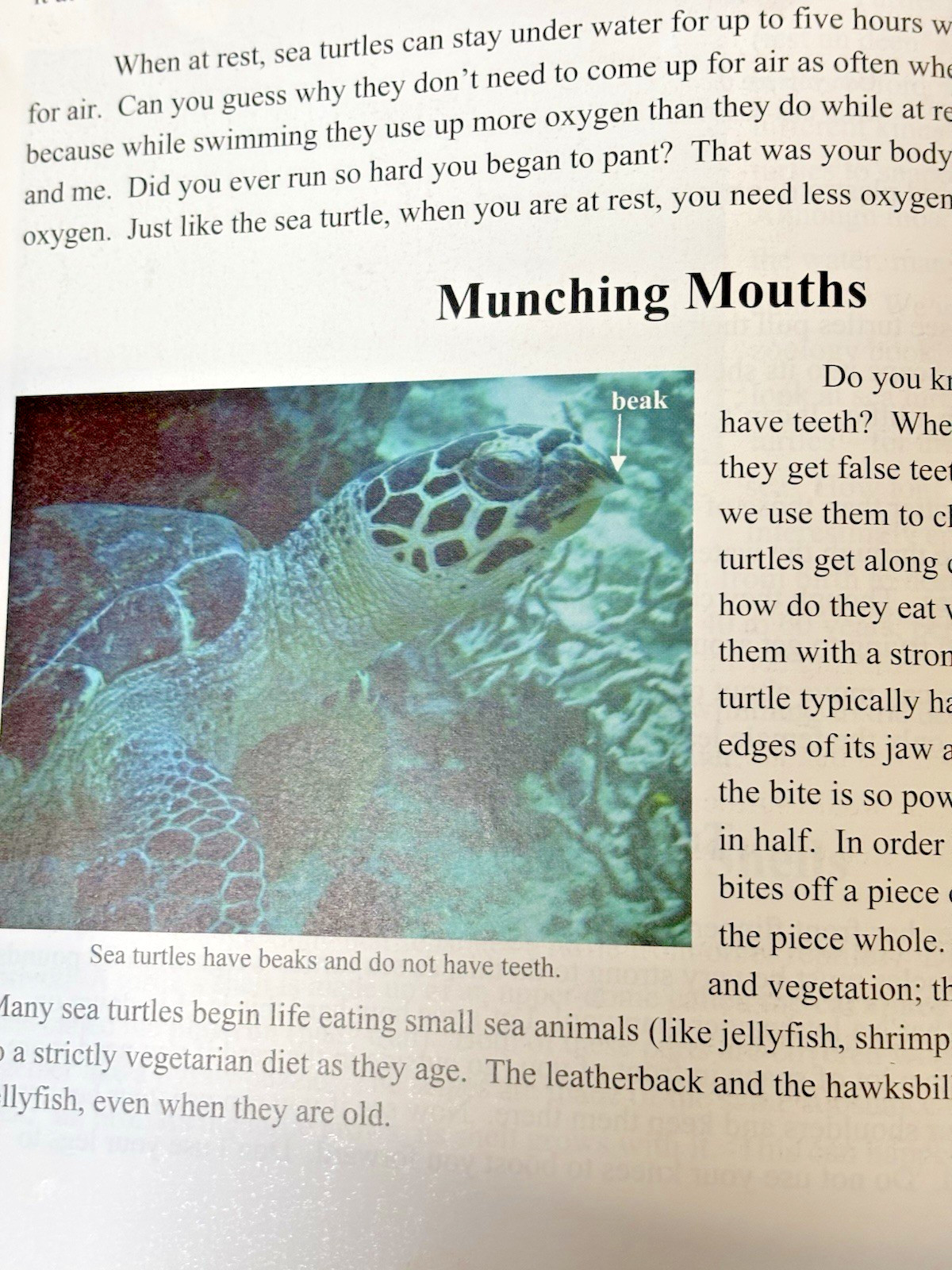 Exploring Creation With Zoology Vol 1 Young Explorers Series Fulbright Apologia