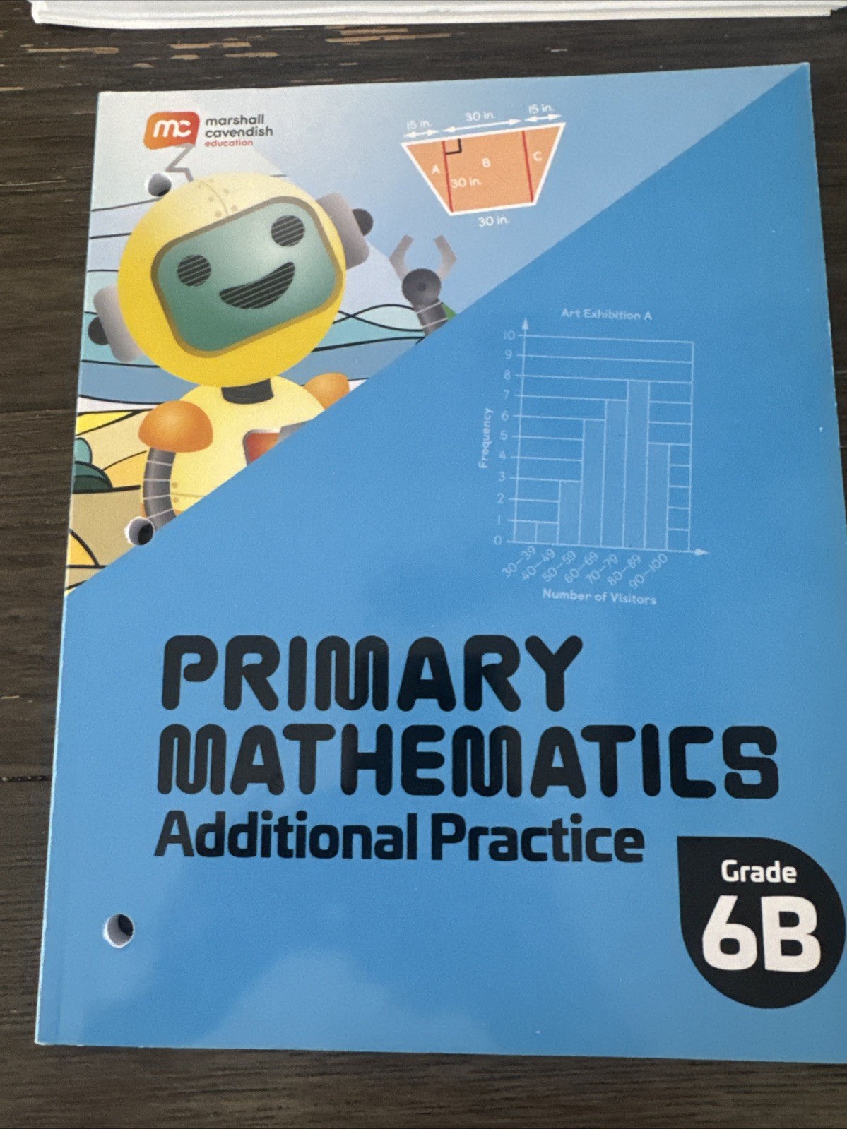 NEW Primary Mathematics Teacher’s Guide Grade 6A 6b student book Math Curriculum