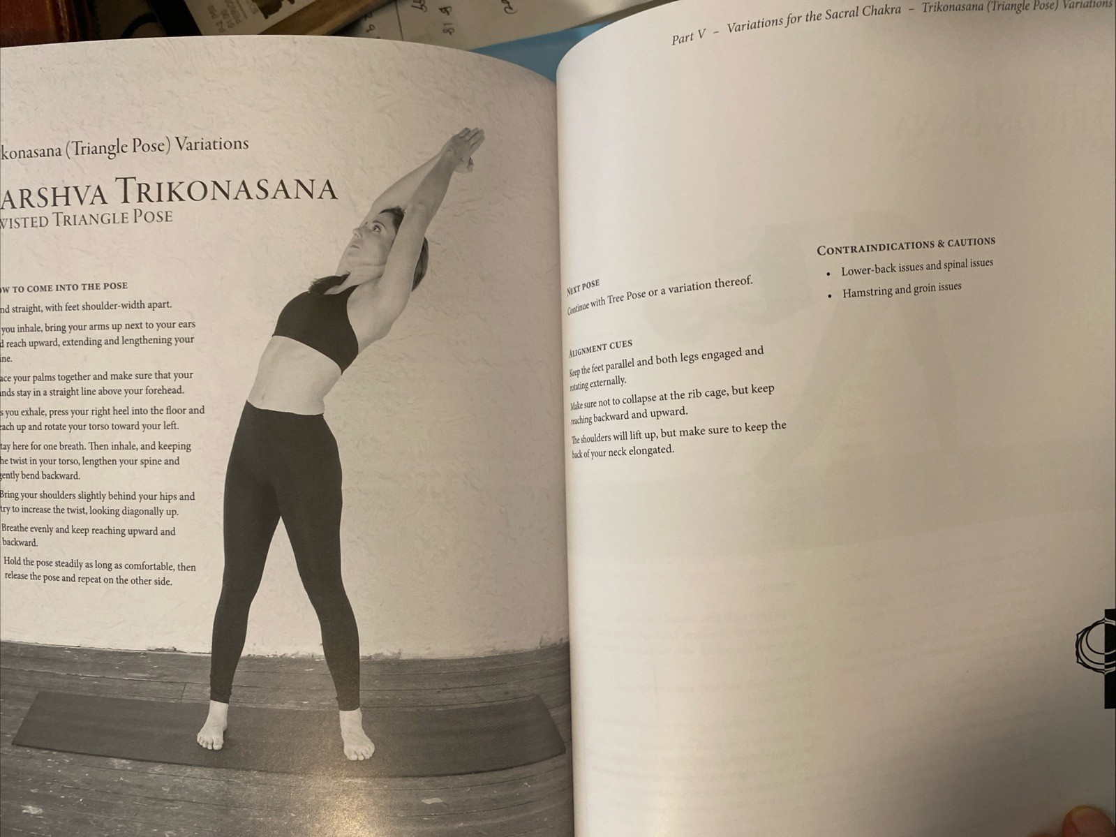 Hatha Yoga: A Comprehensive Guide Ram Jain & Michelle Hauswirth B/W Photos Instr