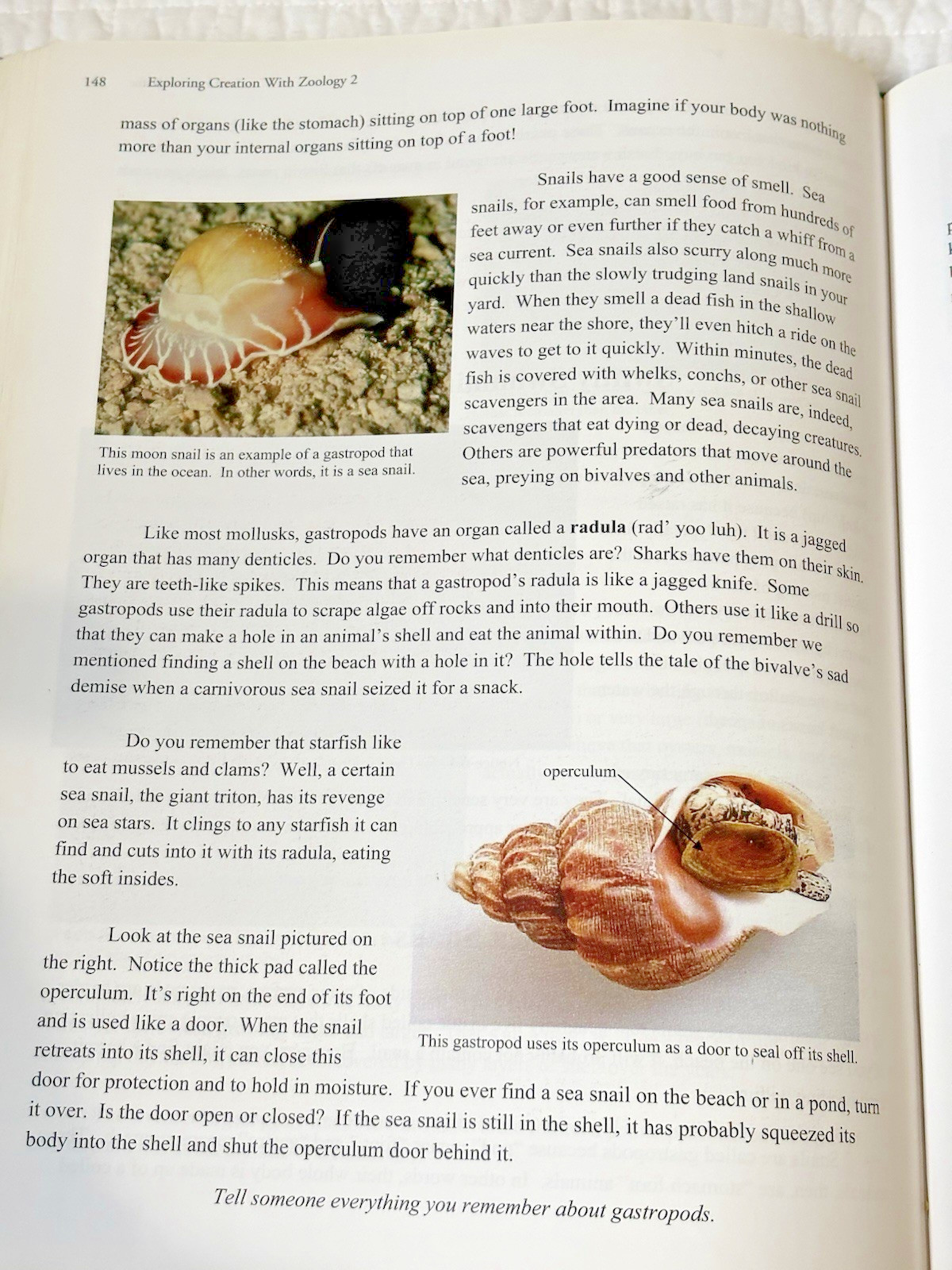 Exploring Creation With Zoology Vol 1 Young Explorers Series Fulbright Apologia