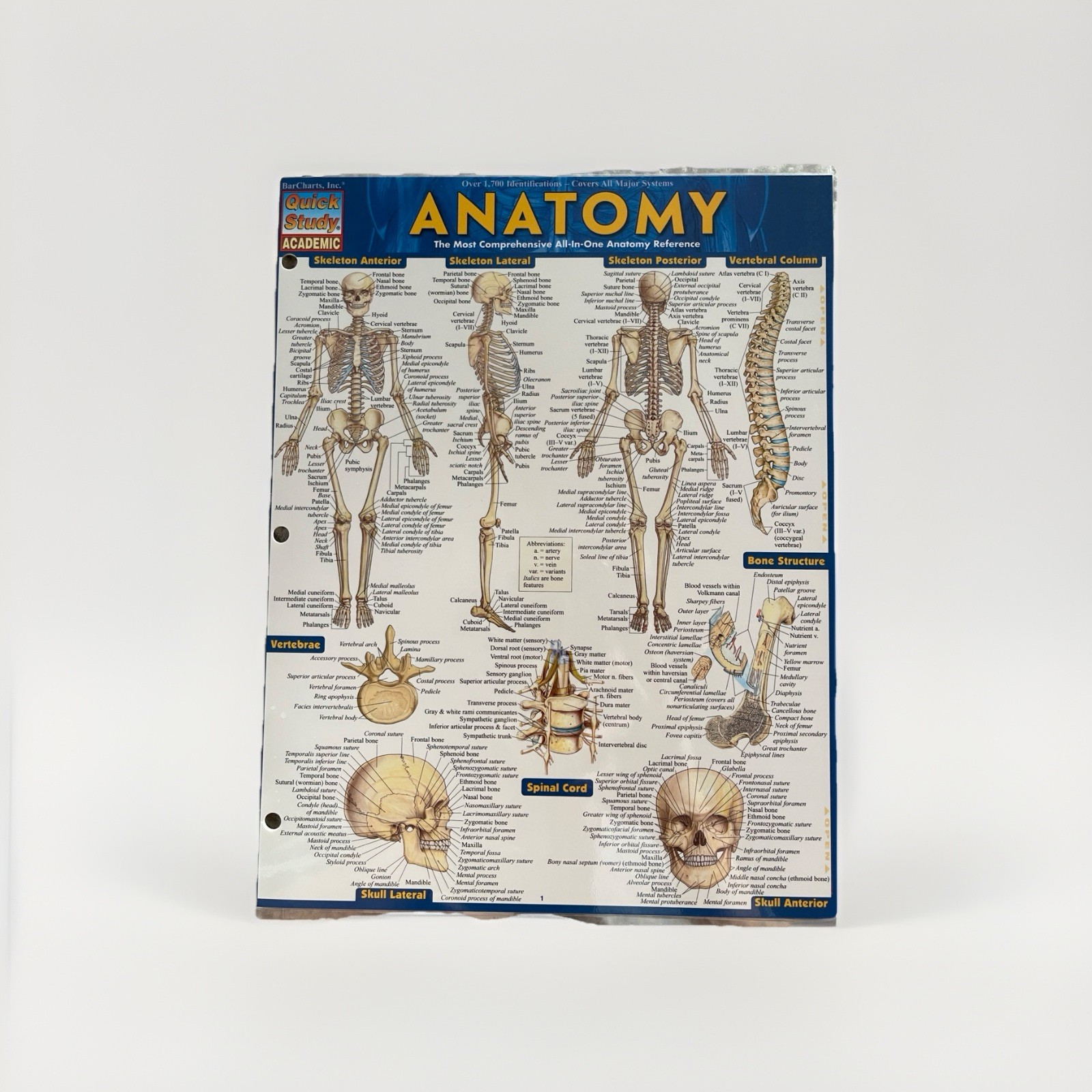 Anatomy and Physiology Covers All Major Systems of The Body, 6 packs