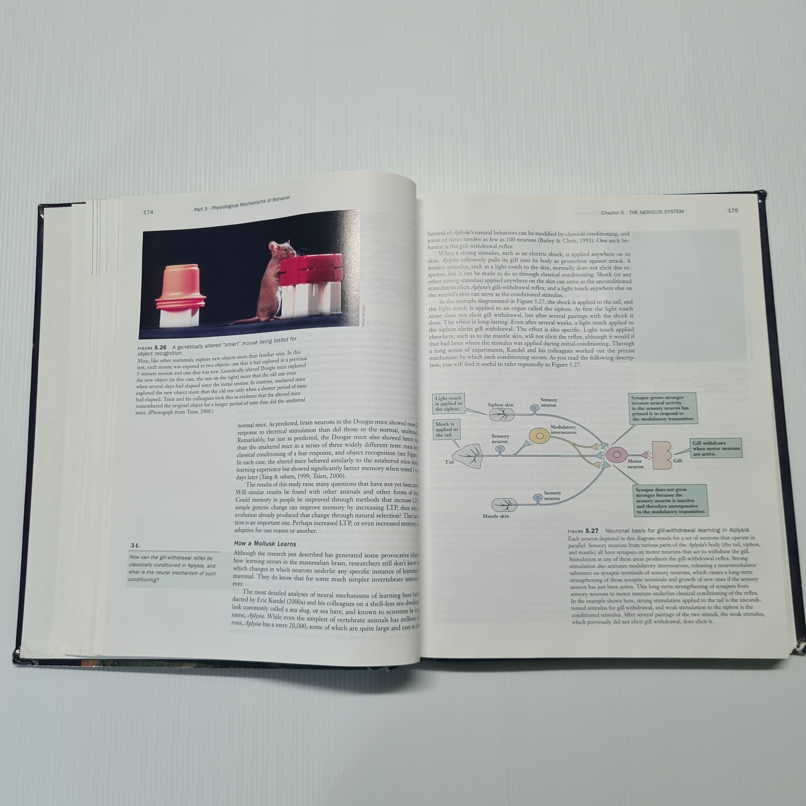 Psychology 4th Edition Peter Gray Textbook Worth Publishers Uni Study Learning