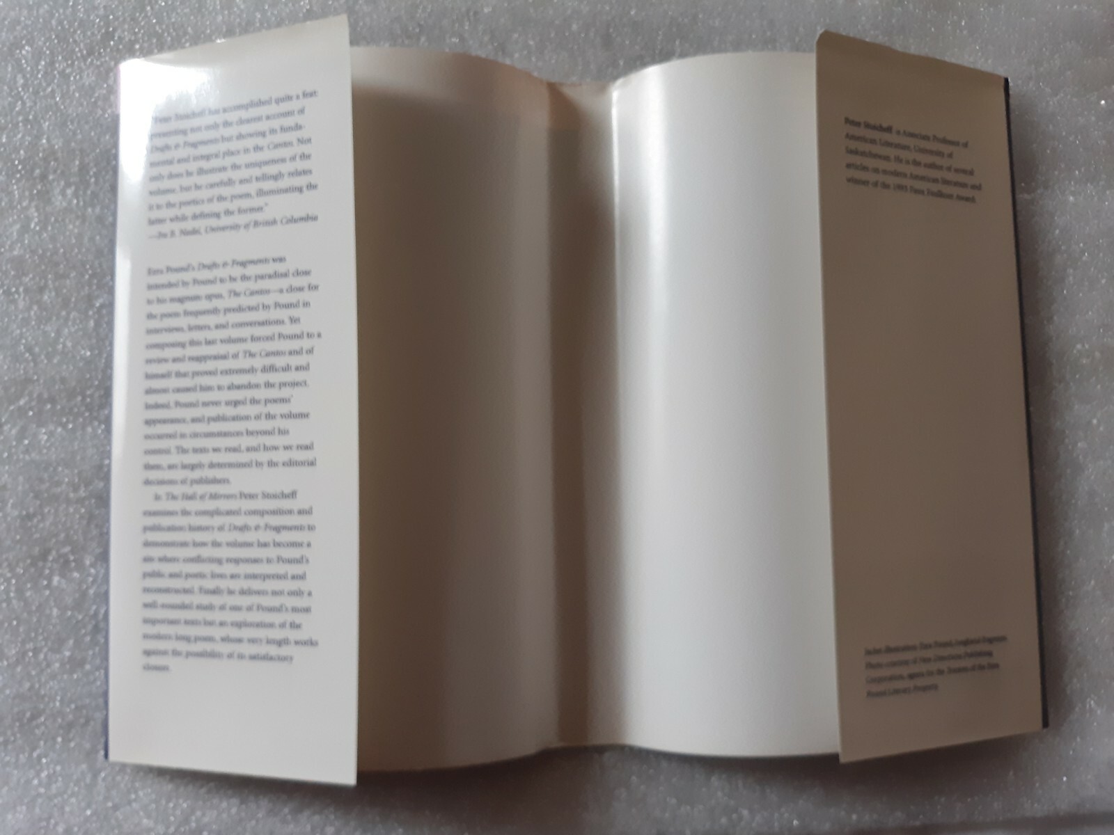 The Hall Of Mirrors, Peter Stoicheff, HCDJ, 1995, 1st Print, Ezra Pound, mh