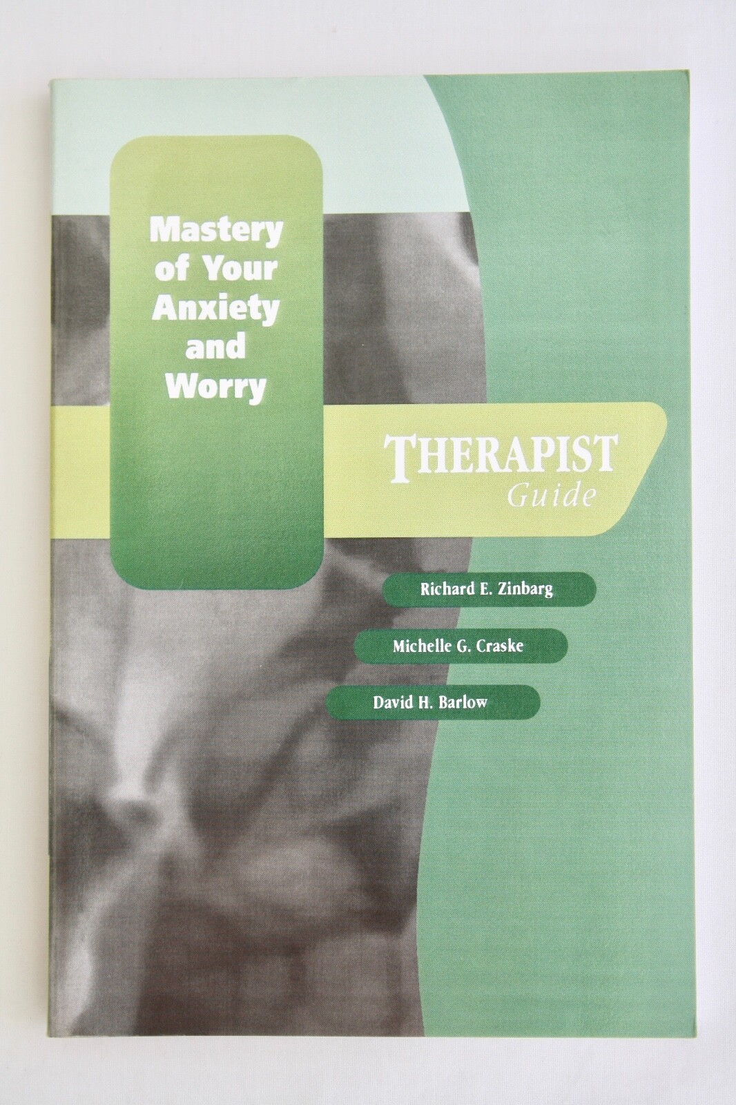 Mastery of Your Anxiety and Worry (MAW): Therapist Guide by David H. Barlow,…